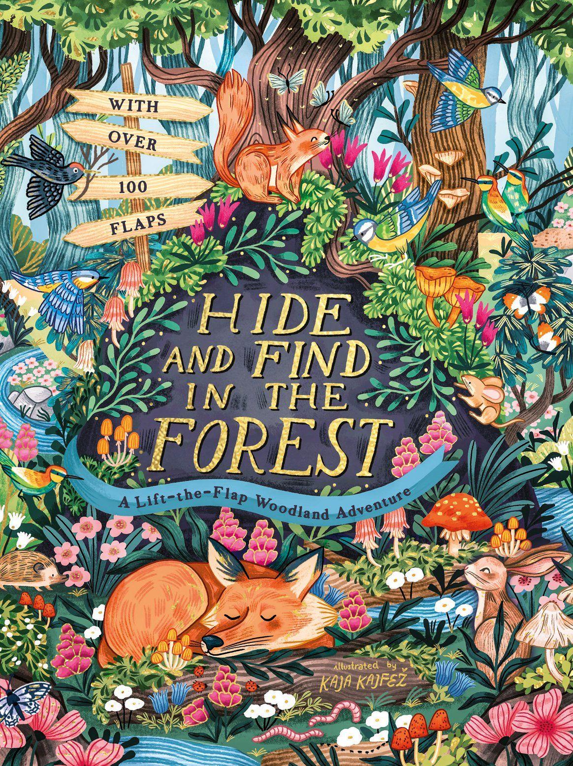 Vorderes Coverbild Hide and Find in the Forest: A Lift-the-Flap Woodland Adventure