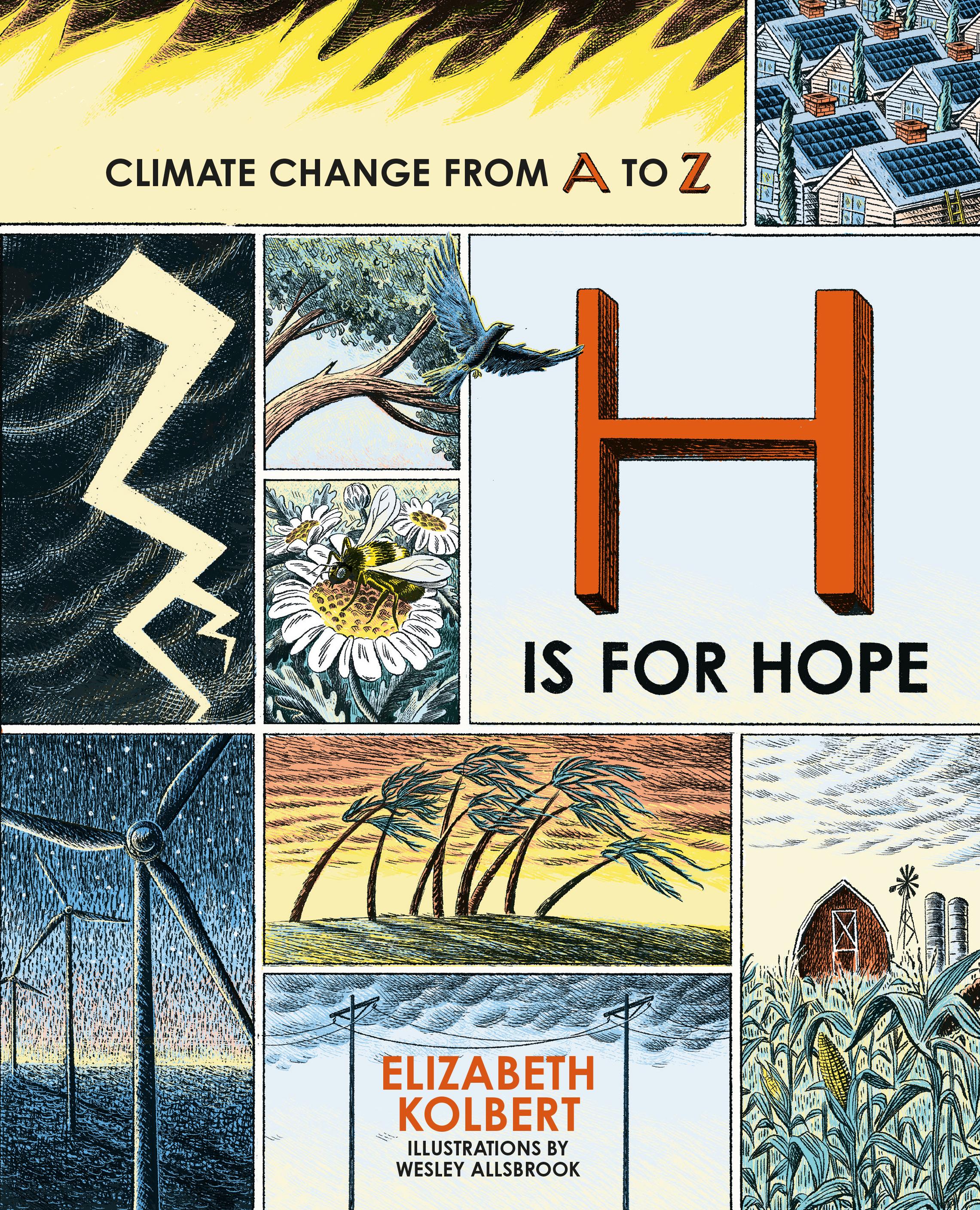 Vorderes Coverbild H is for Hope