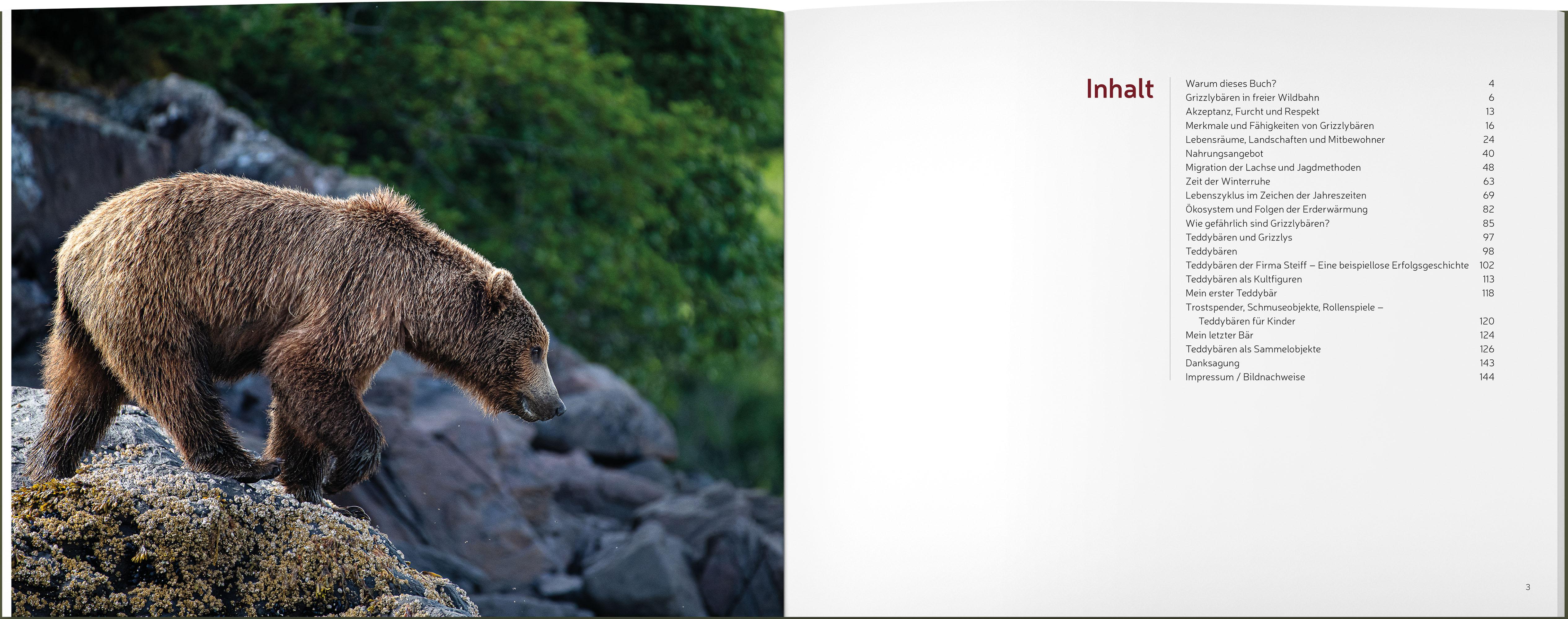 Beispielinhalt (Bild) Vom Grizzly zum Teddybär