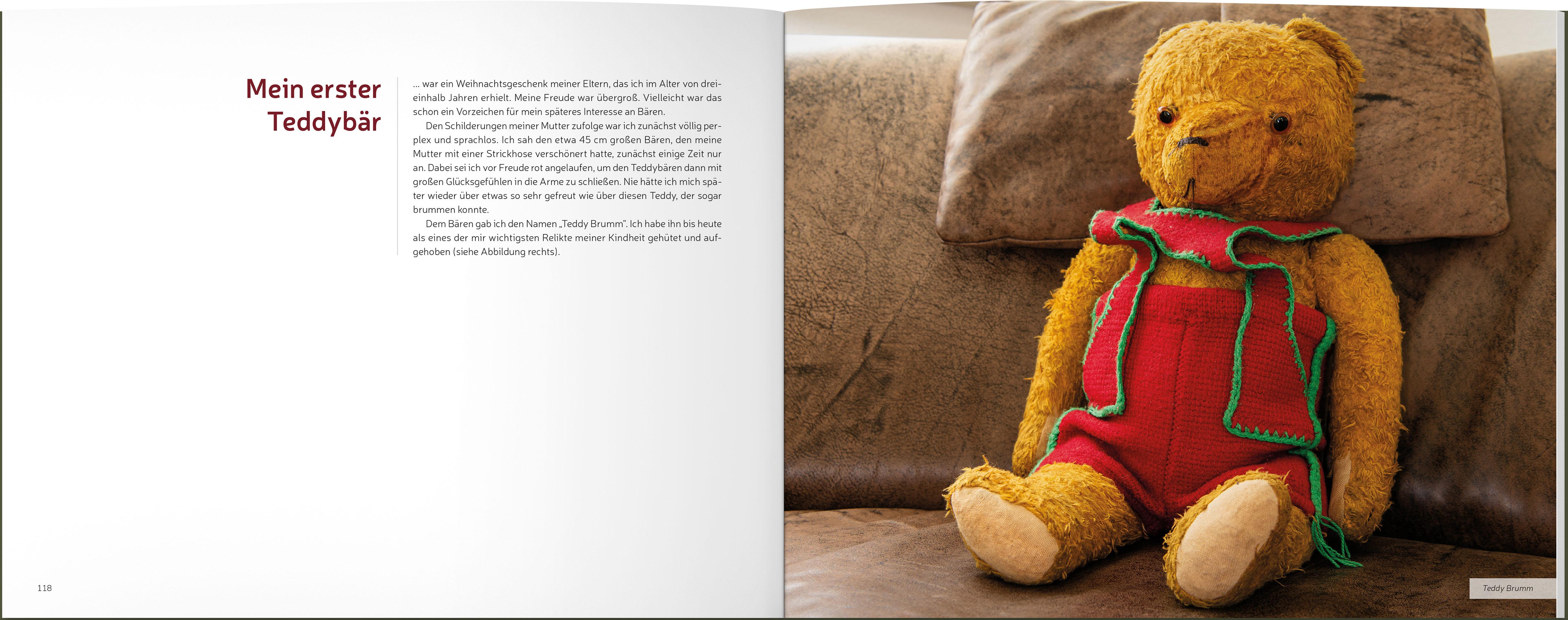 Beispielinhalt (Bild) Vom Grizzly zum Teddybär
