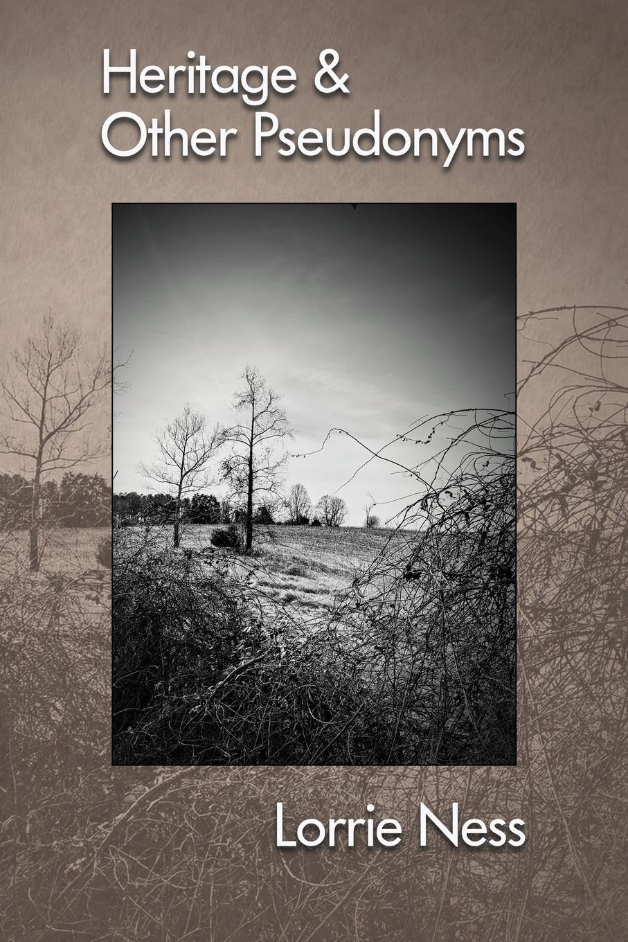 Vorderes Coverbild Heritage & Other Pseudonyms