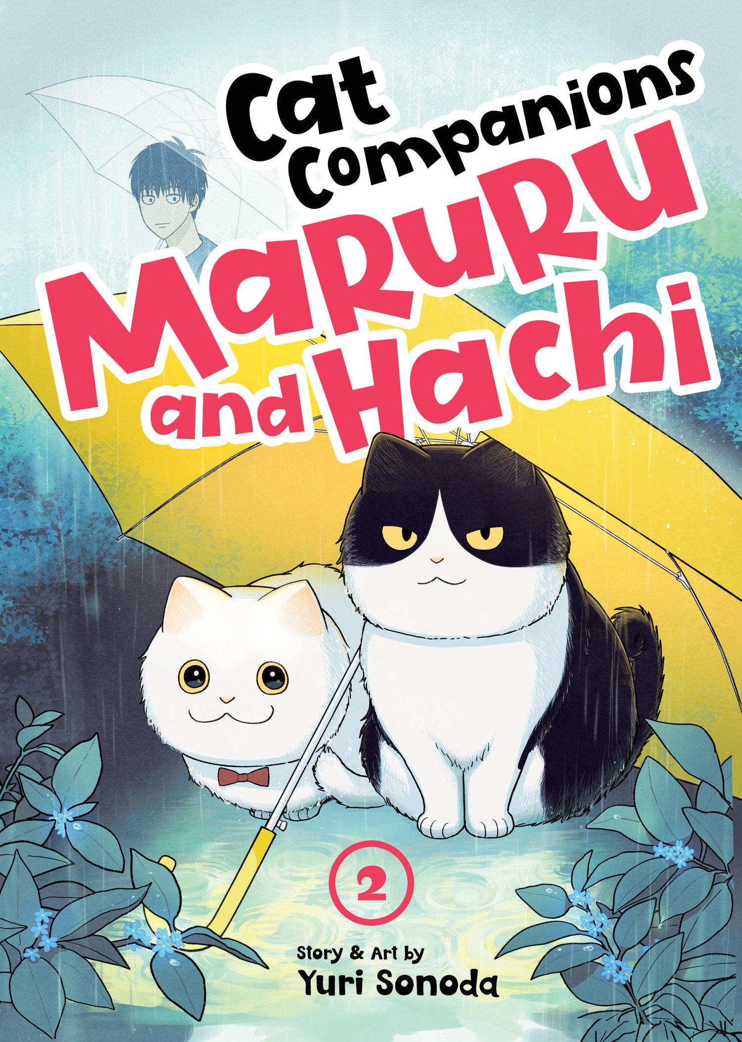 Vorderes Coverbild Cat Companions Maruru and Hachi Vol. 2