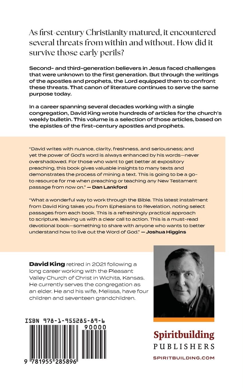 Rückseitencover Wings Like Eagles