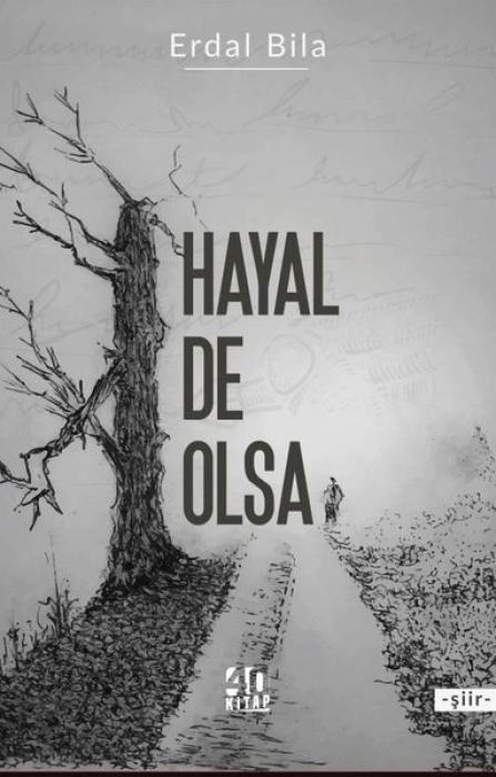Vorderes Coverbild Hayal De Olsa