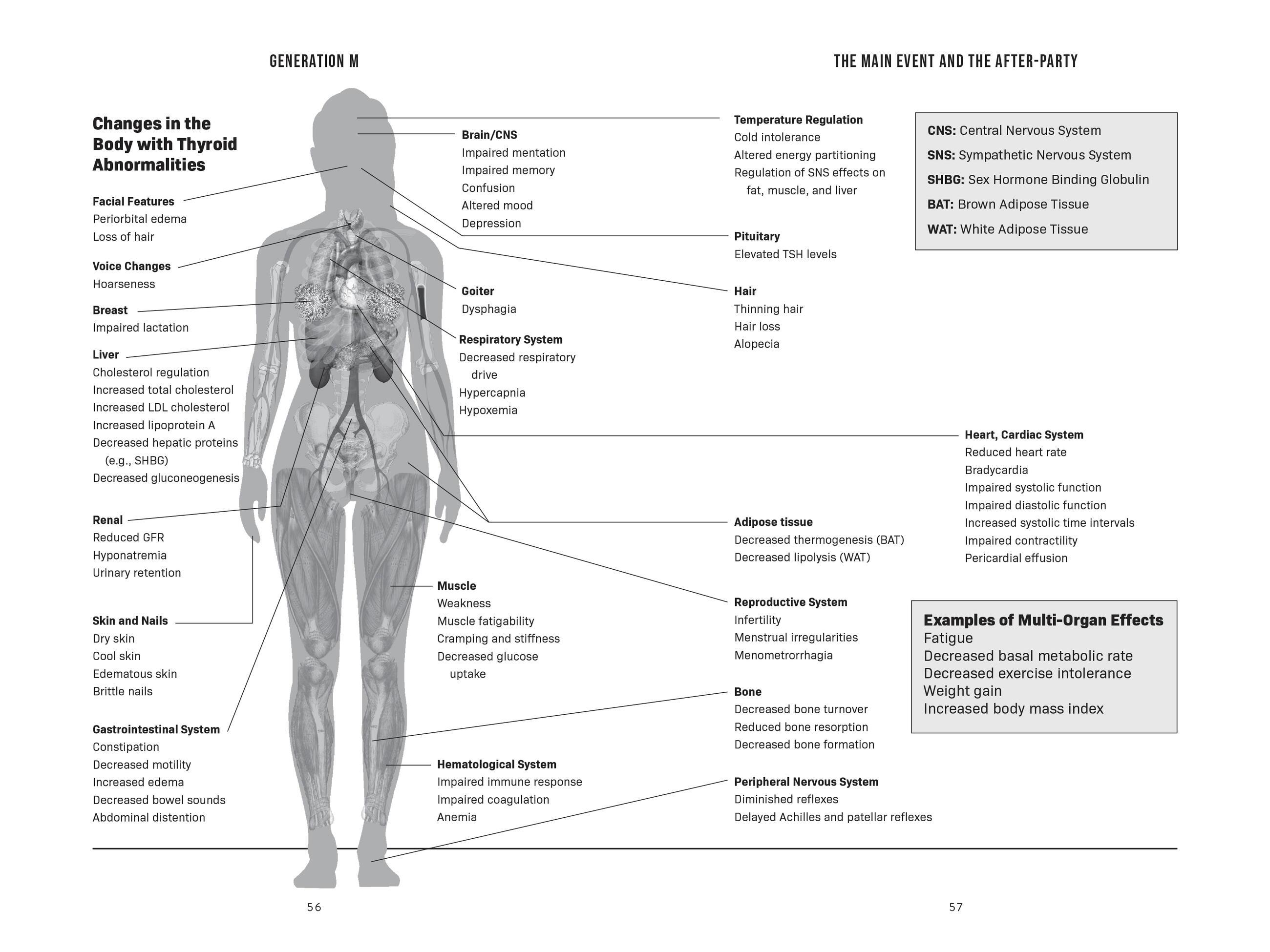 Beispielinhalt (Bild) Generation M