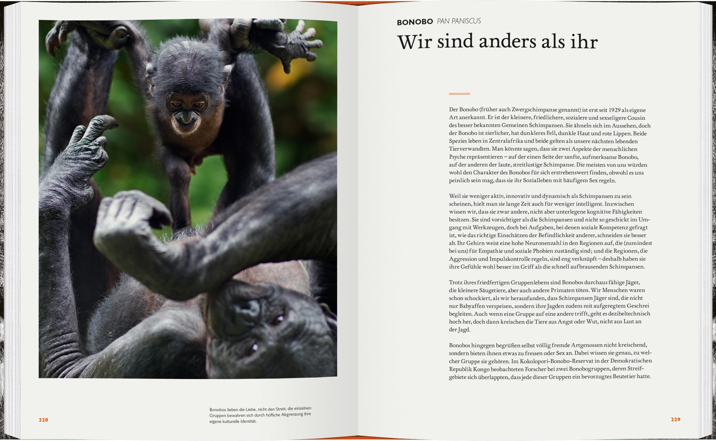 Beispielinhalt (Bild) Was Tiere denken