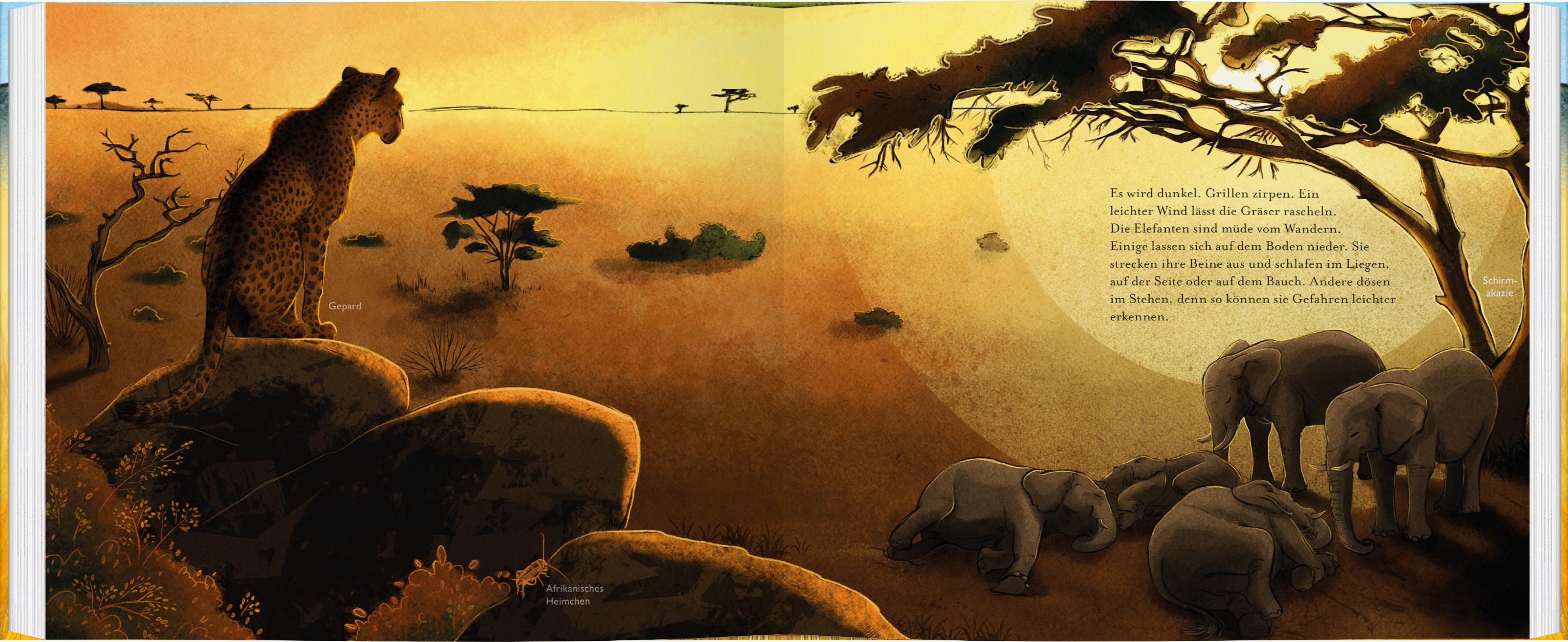 Beispielinhalt (Bild) Der kleine Elefant