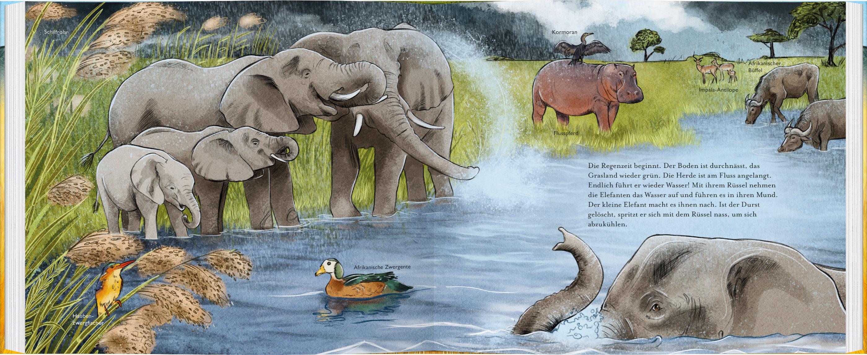 Beispielinhalt (Bild) Der kleine Elefant