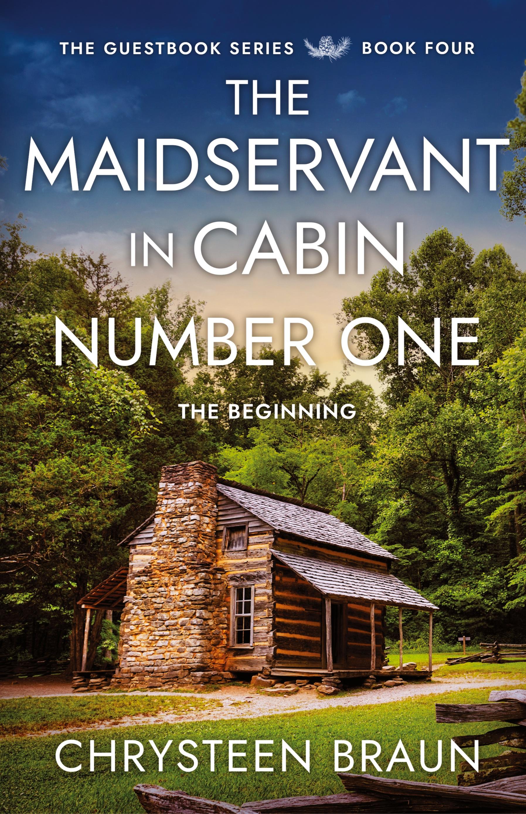 Vorderes Coverbild The Maidservant in Cabin Number One