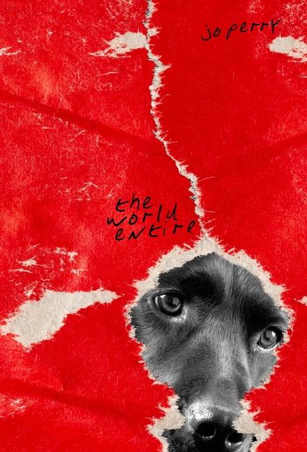 Vorderes Coverbild The World Entire