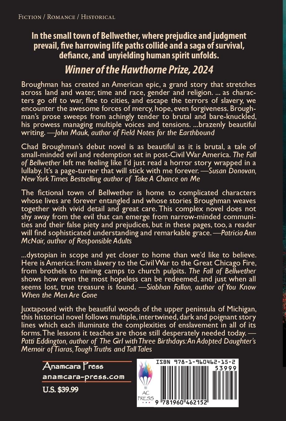 Rückseitencover The Fall of Bellwether