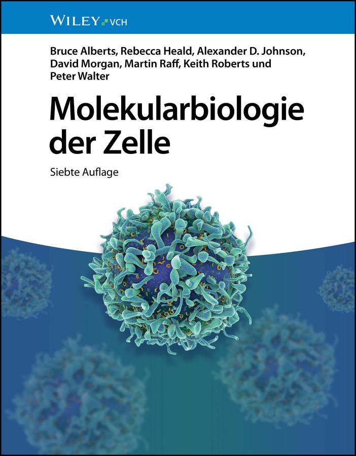 Vorderes Coverbild Molekularbiologie der Zelle