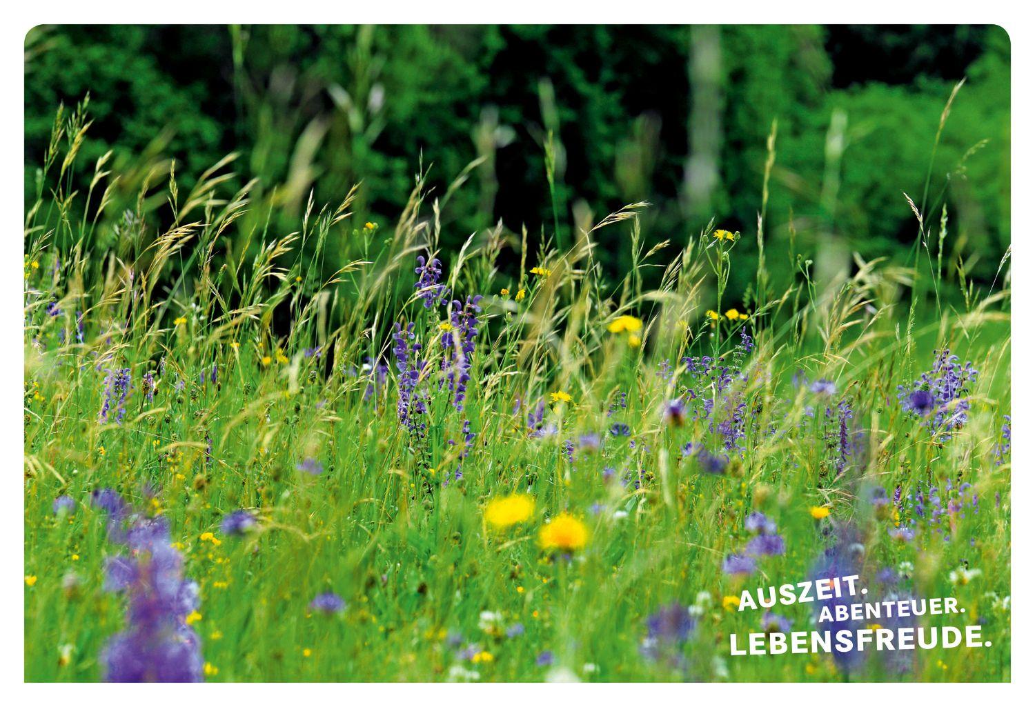 Beispielinhalt (Bild) 52 kleine & große Eskapaden in der Eifel