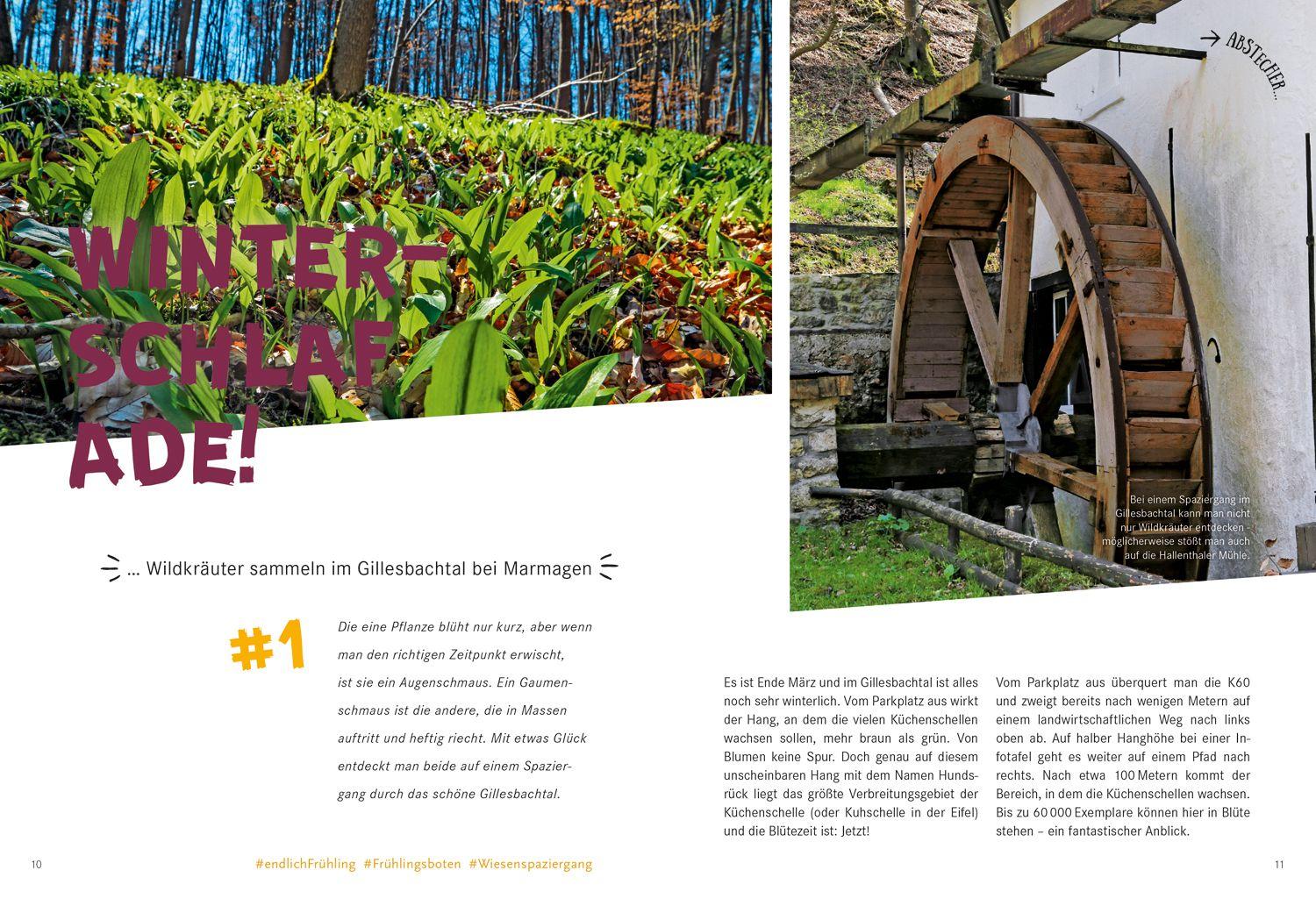 Beispielinhalt (Bild) 52 kleine & große Eskapaden in der Eifel