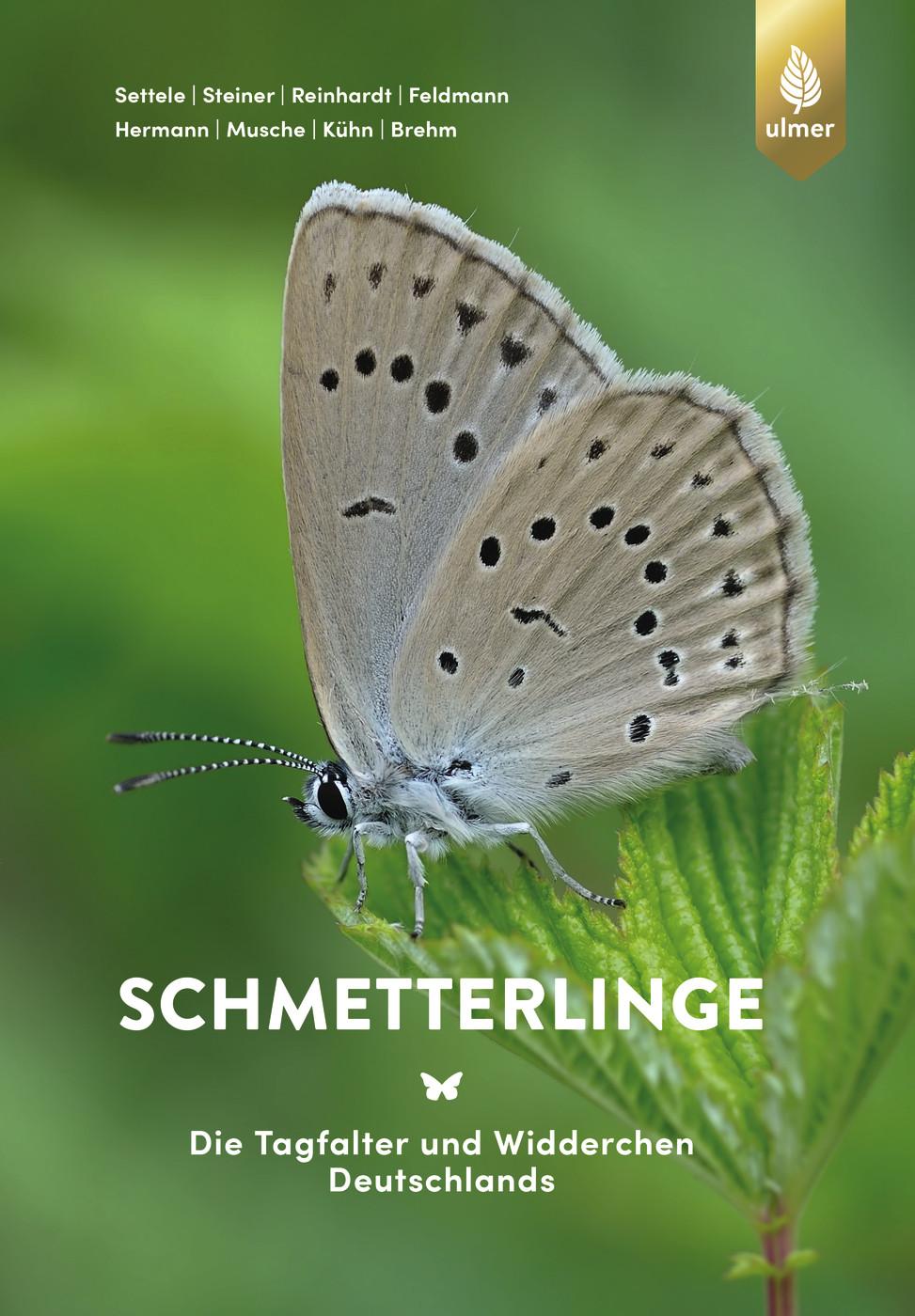 Vorderes Coverbild Schmetterlinge