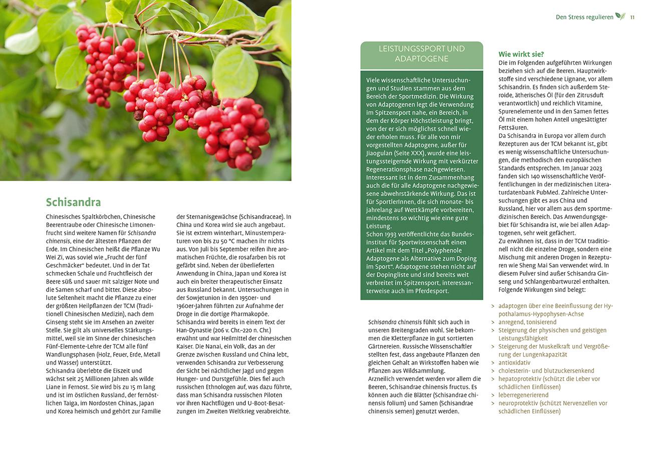 Beispielinhalt (Bild) Mit Naturheilkunde Stress bewältigen