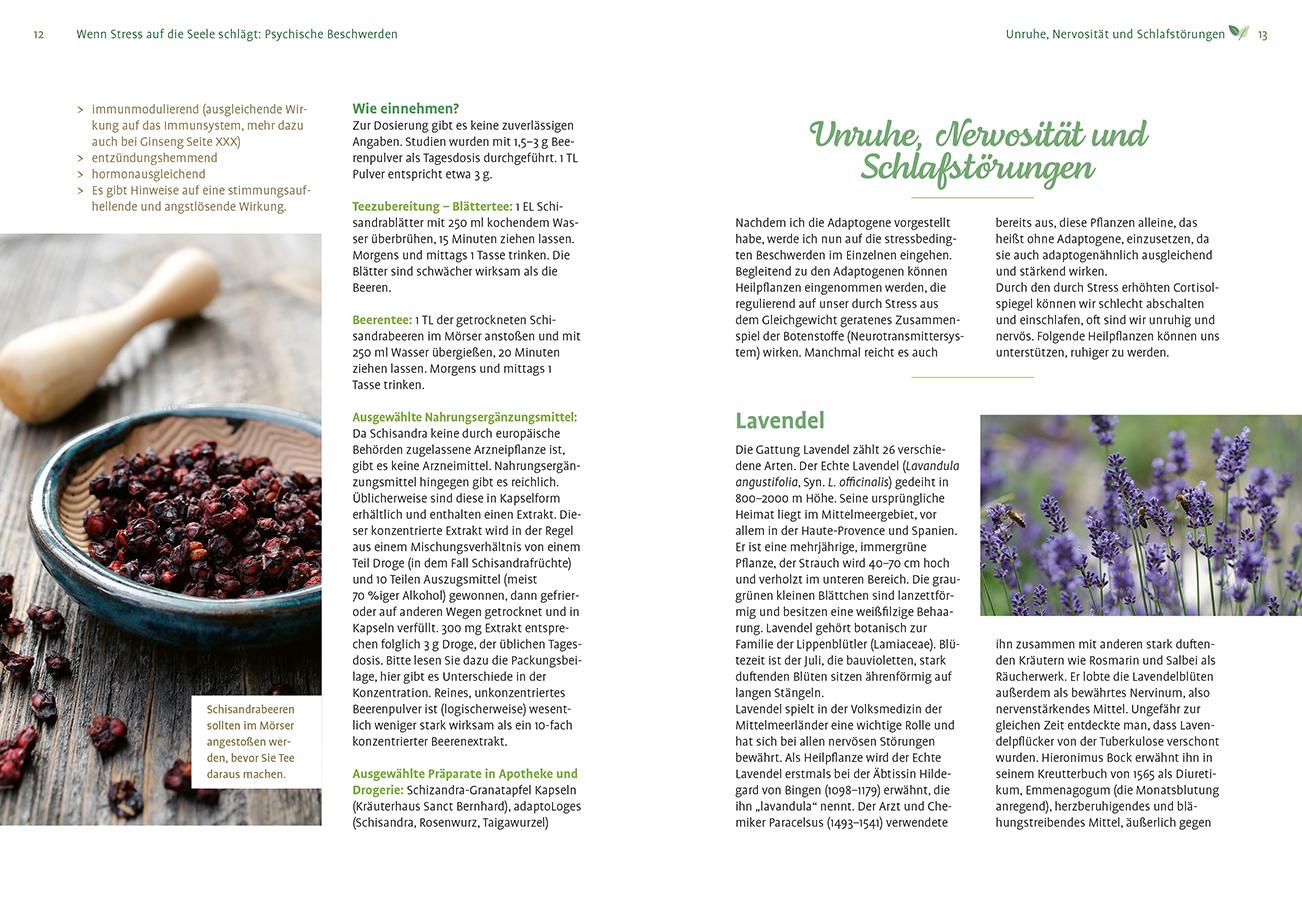 Beispielinhalt (Bild) Mit Naturheilkunde Stress bewältigen