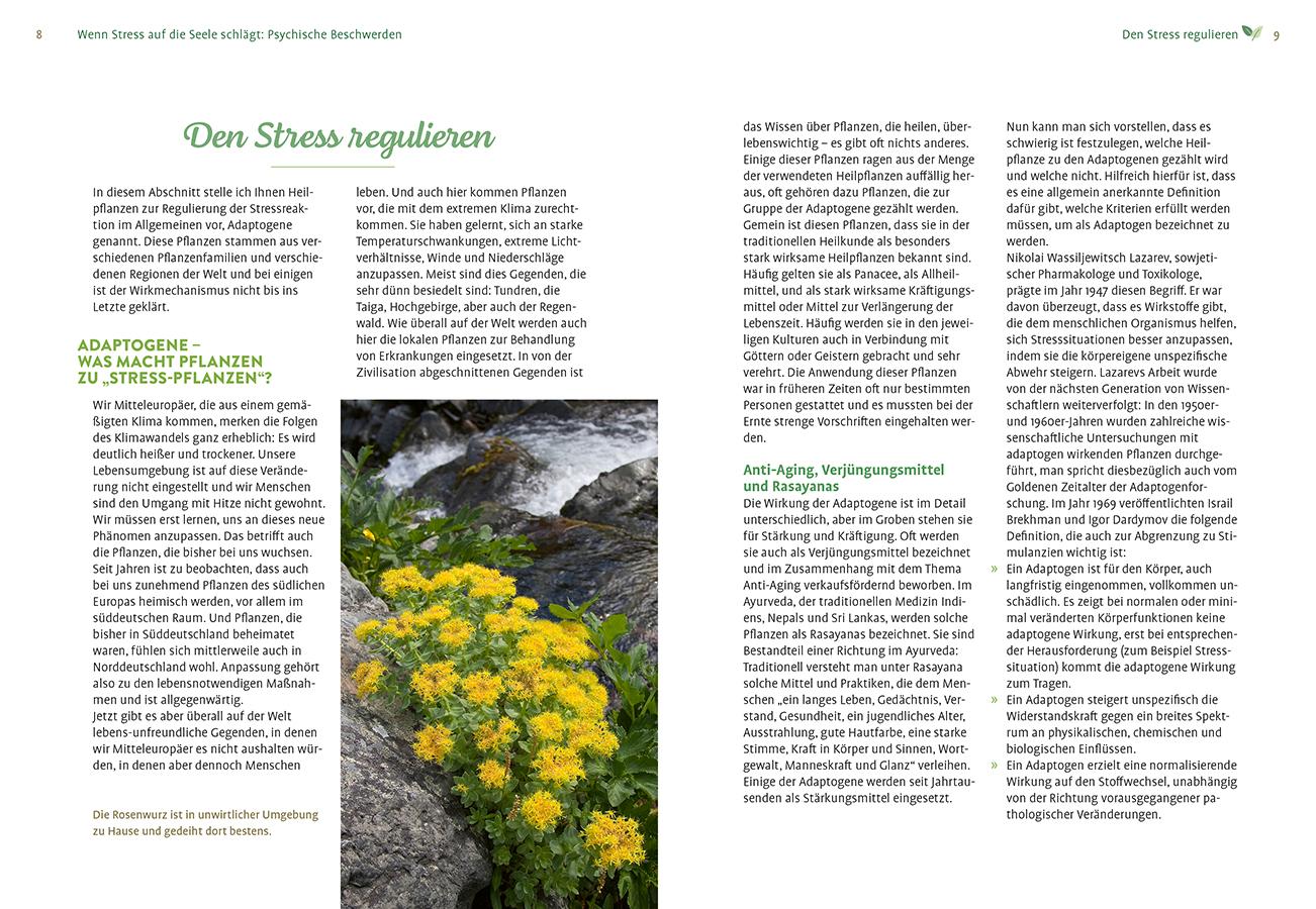 Beispielinhalt (Bild) Mit Naturheilkunde Stress bewältigen