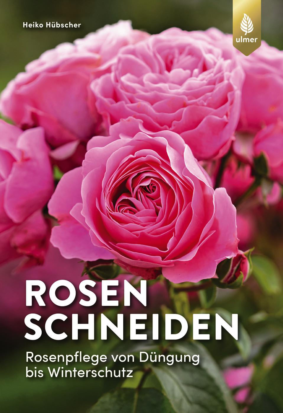 Vorderes Coverbild Rosen schneiden