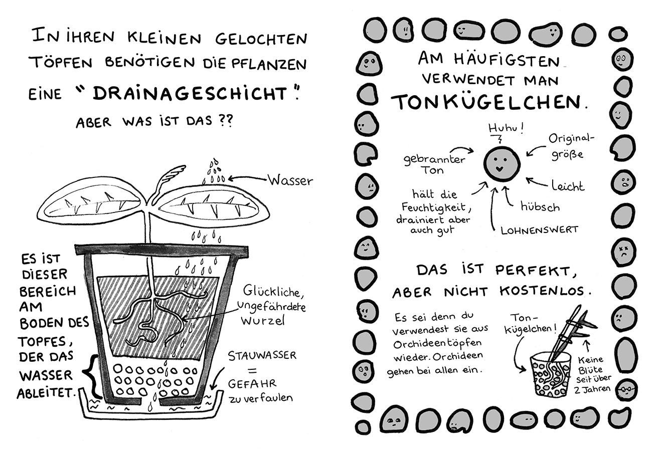 Beispielinhalt (Bild) Plants for free