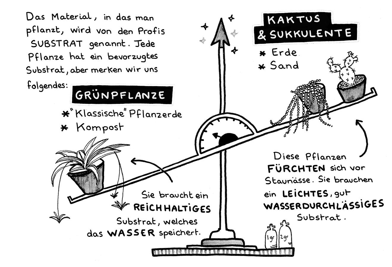 Beispielinhalt (Bild) Plants for free