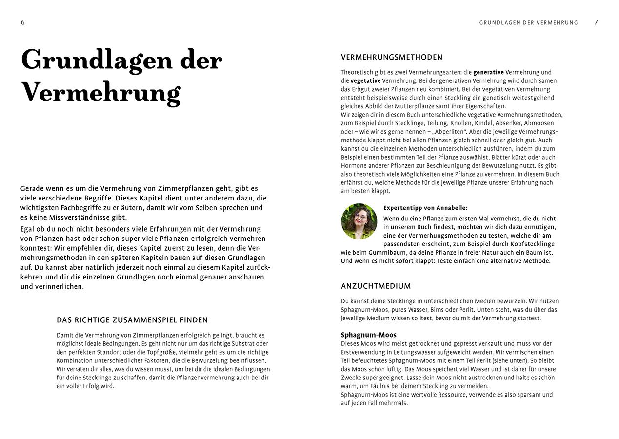 Beispielinhalt (Bild) Grow your Jungle