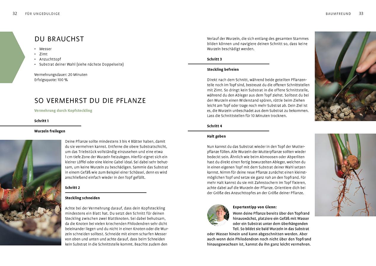 Beispielinhalt (Bild) Grow your Jungle