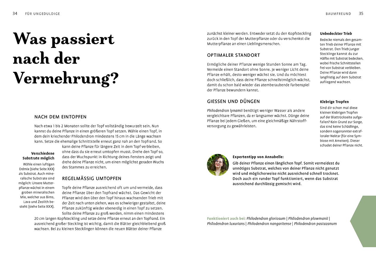 Beispielinhalt (Bild) Grow your Jungle