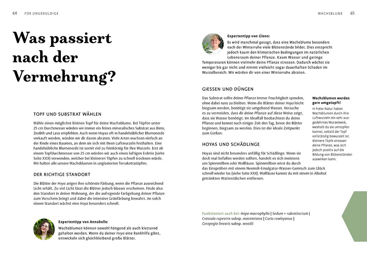 Beispielinhalt (Bild) Grow your Jungle