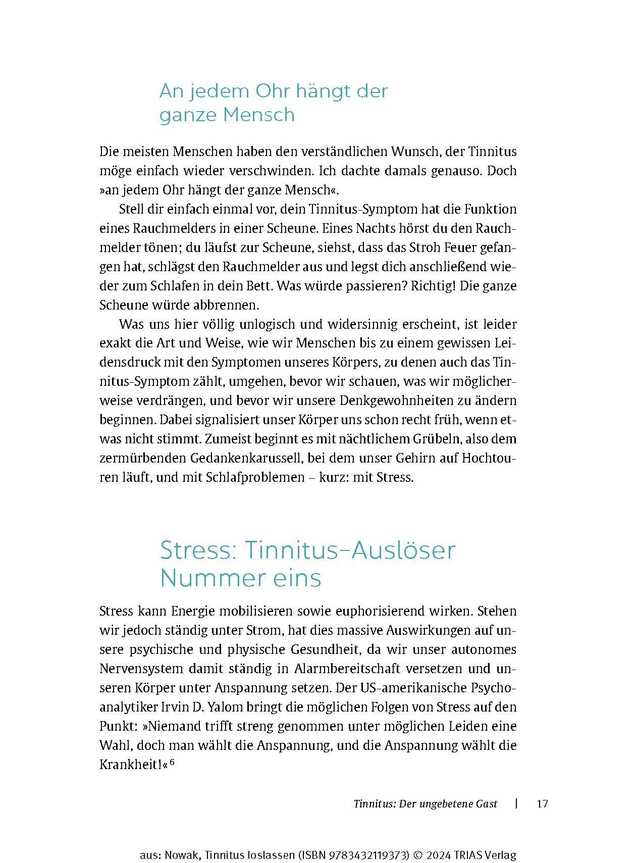 Beispielinhalt (Bild) Tinnitus loslassen