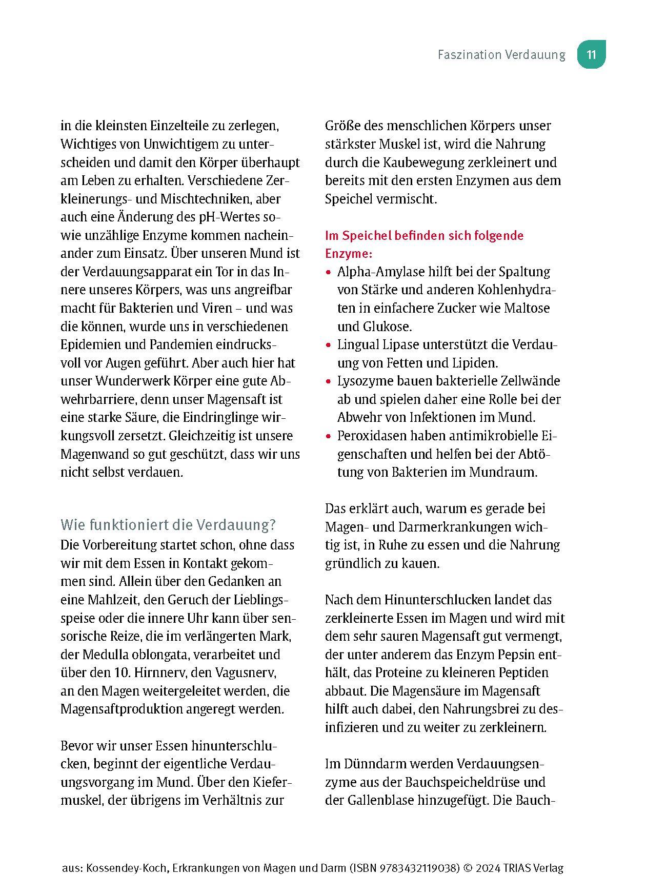 Beispielinhalt (Bild) Naturheilpraxis: Erkrankungen von Magen und Darm