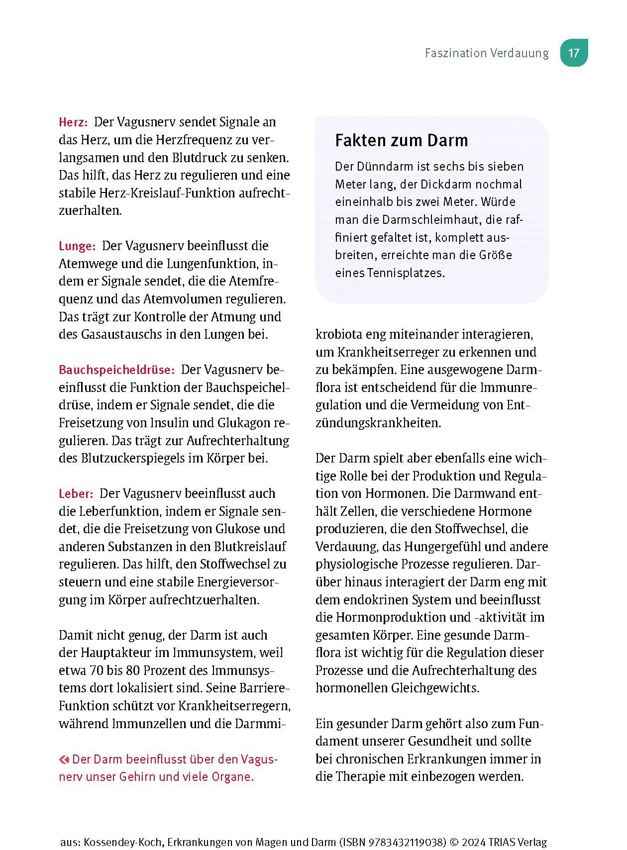 Beispielinhalt (Bild) Naturheilpraxis: Erkrankungen von Magen und Darm