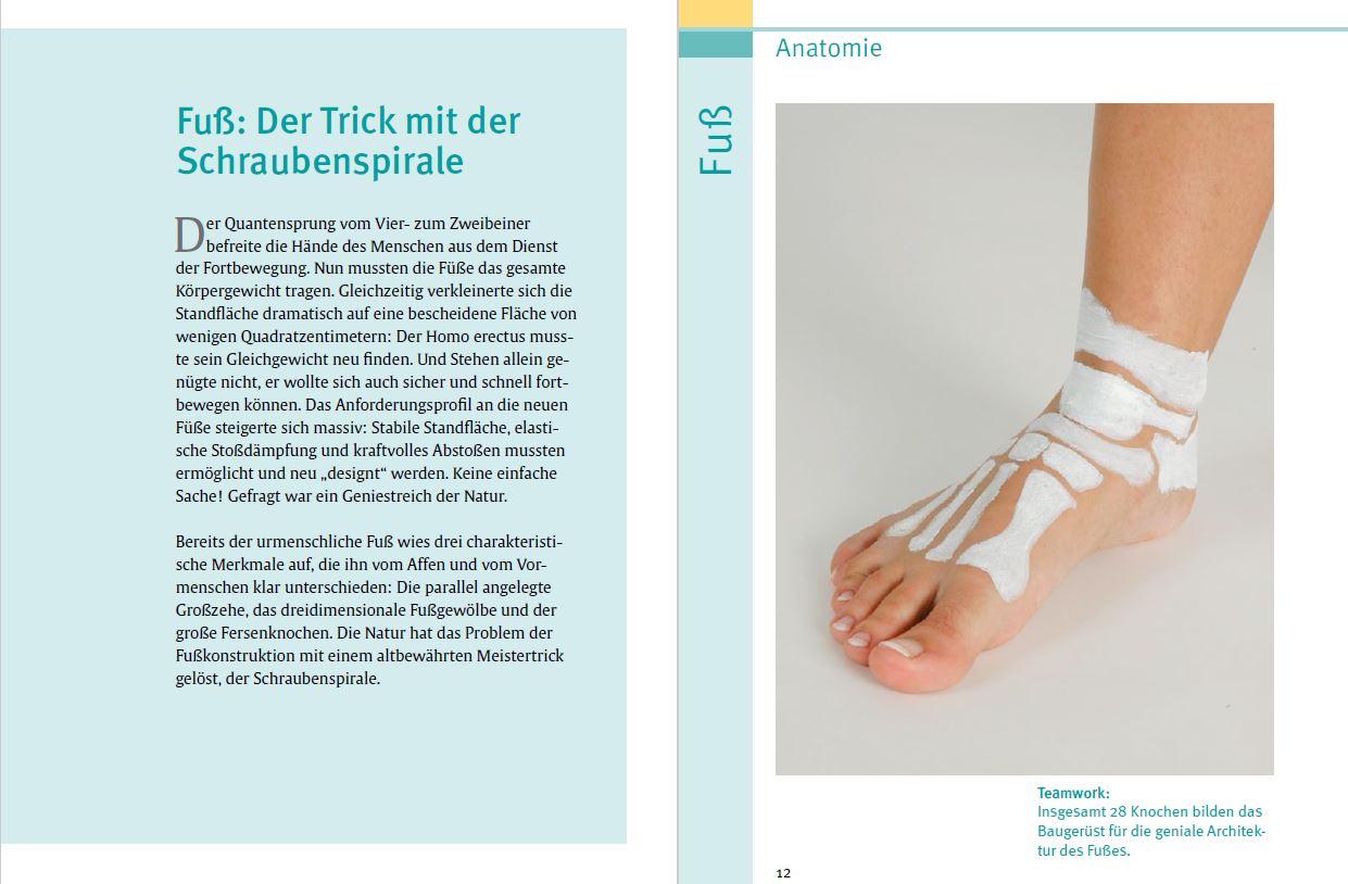 Beispielinhalt (Bild) Gesunde Füße