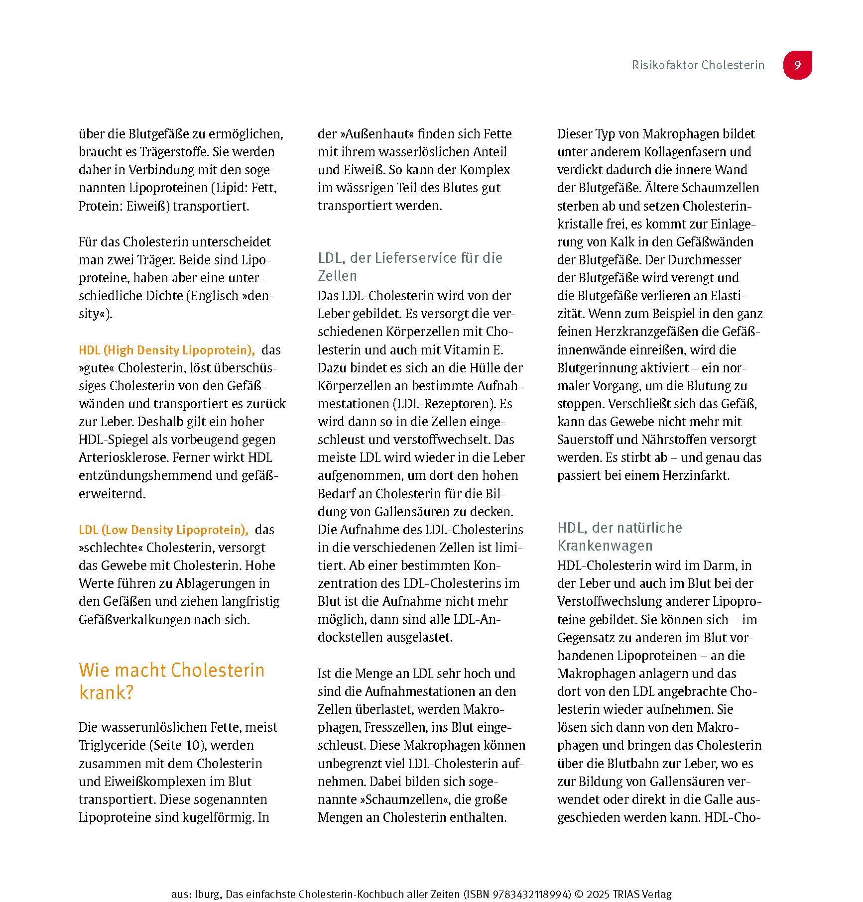 Beispielinhalt (Bild) Das einfachste Cholesterin-Kochbuch aller Zeiten