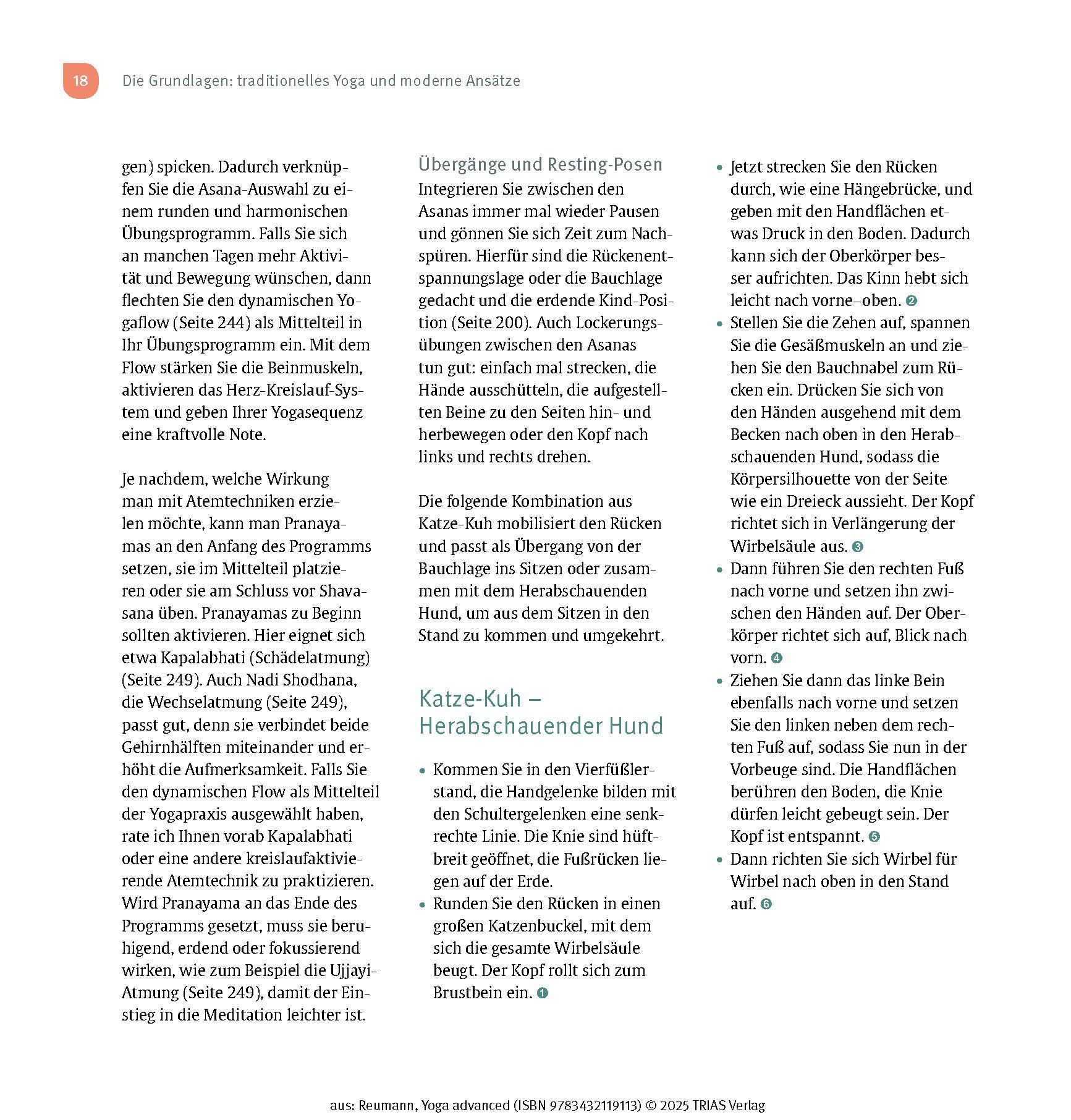 Beispielinhalt (Bild) Yoga advanced