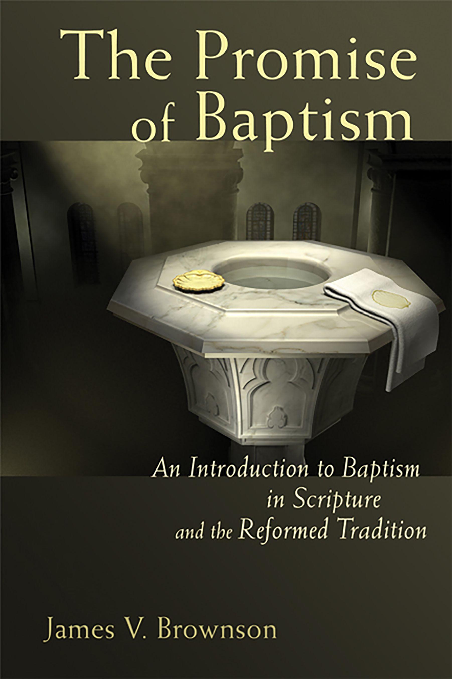 Vorderes Coverbild The Promise of Baptism