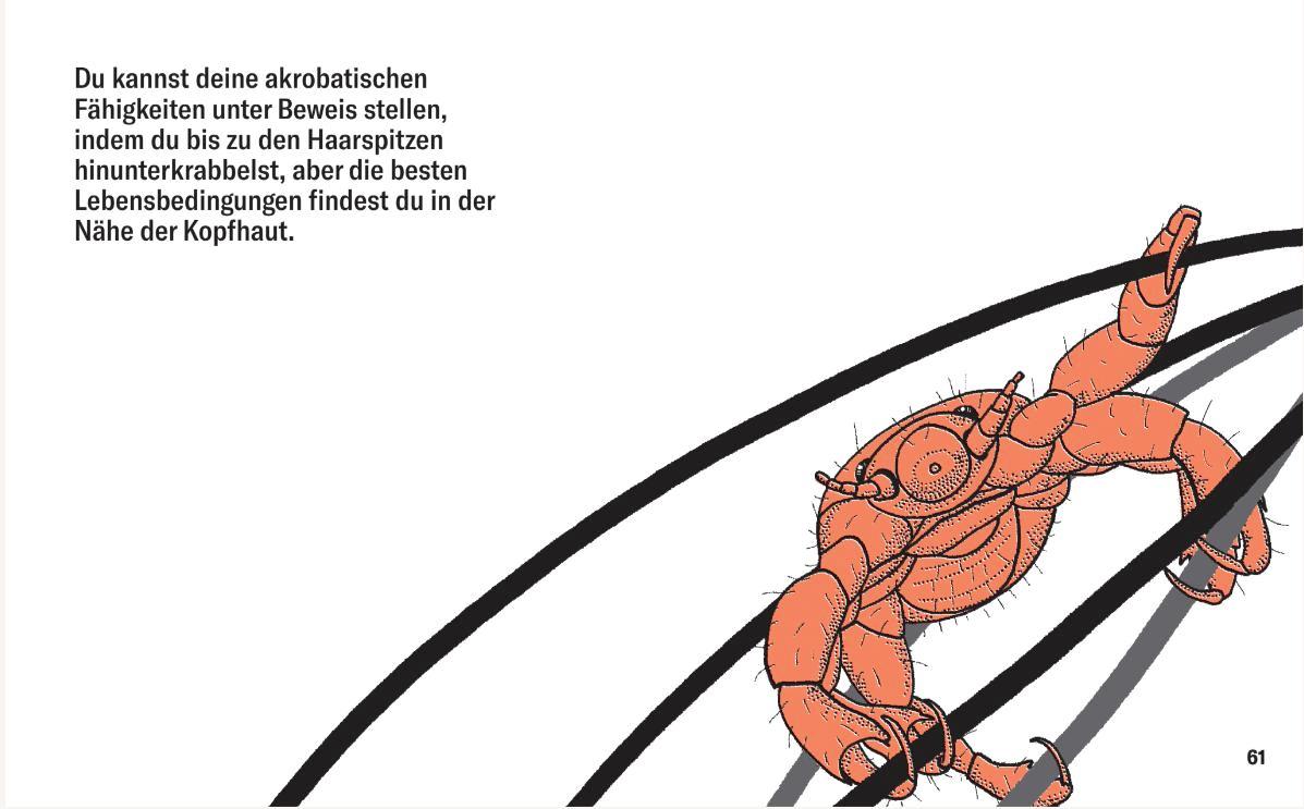 Beispielinhalt (Bild) Läuse