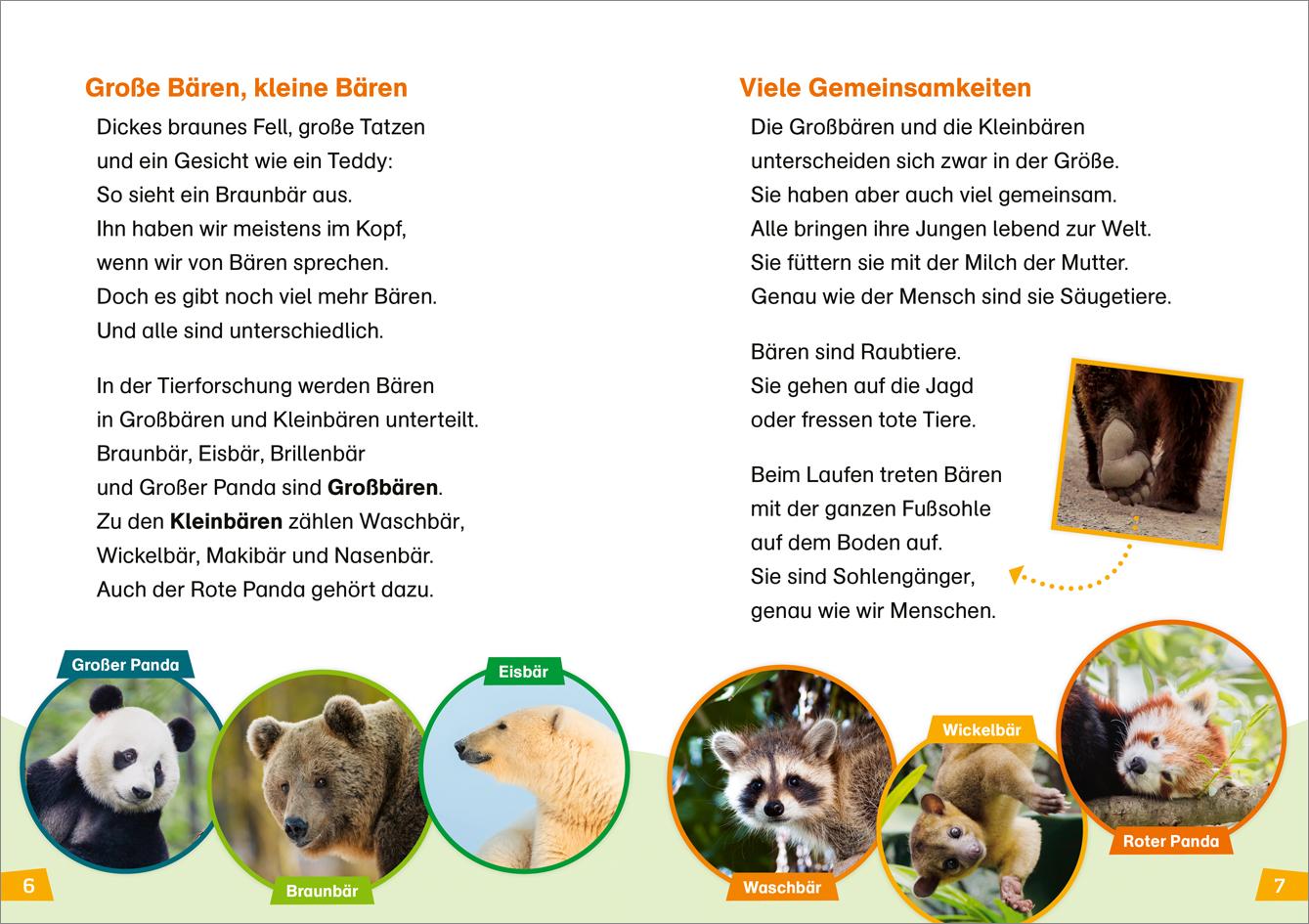 Beispielinhalt (Bild) WAS IST WAS Erstes Lesen Band 26. Bären