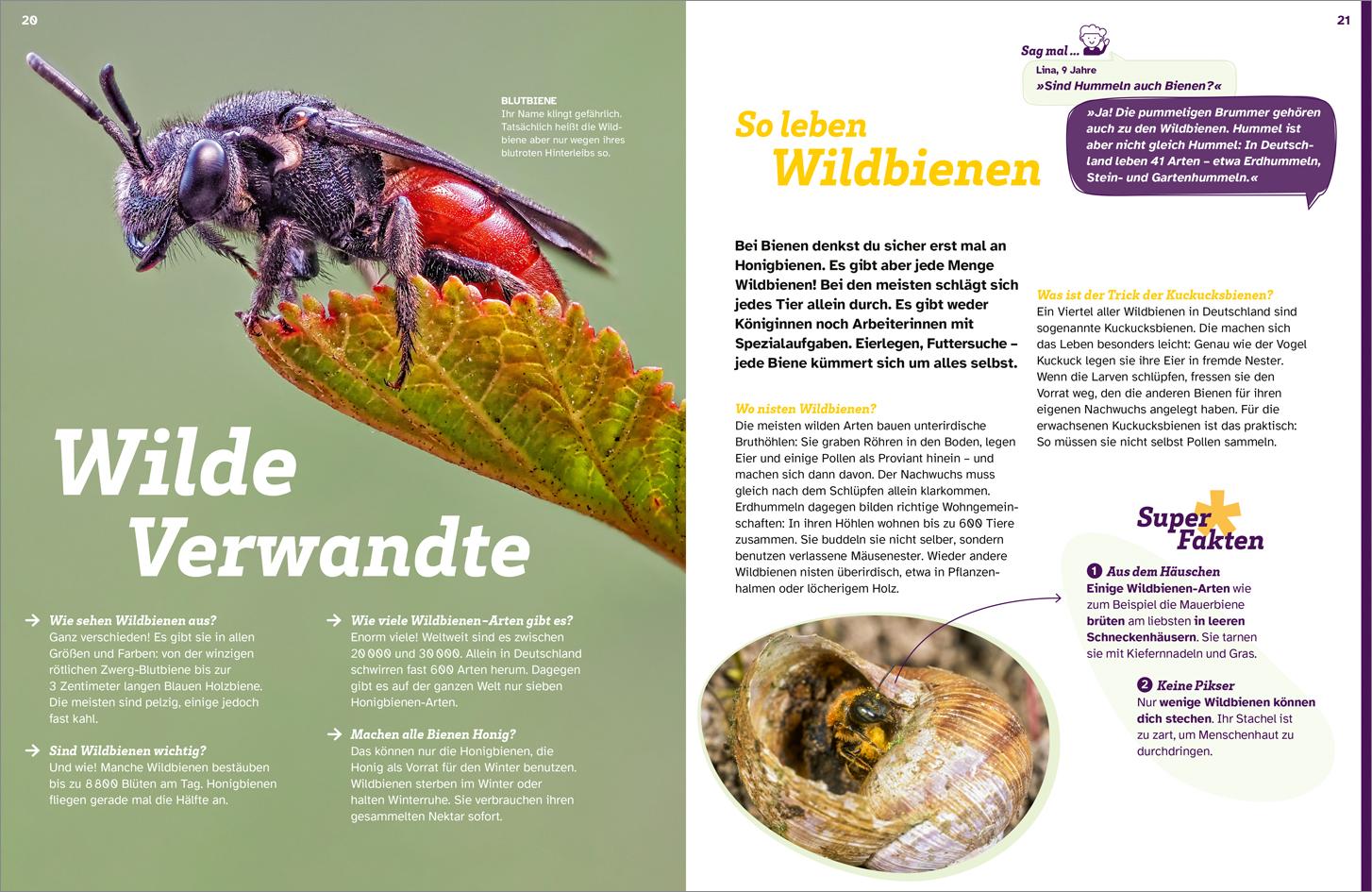 Beispielinhalt (Bild) WAS IST WAS Bienen. Summende Genies