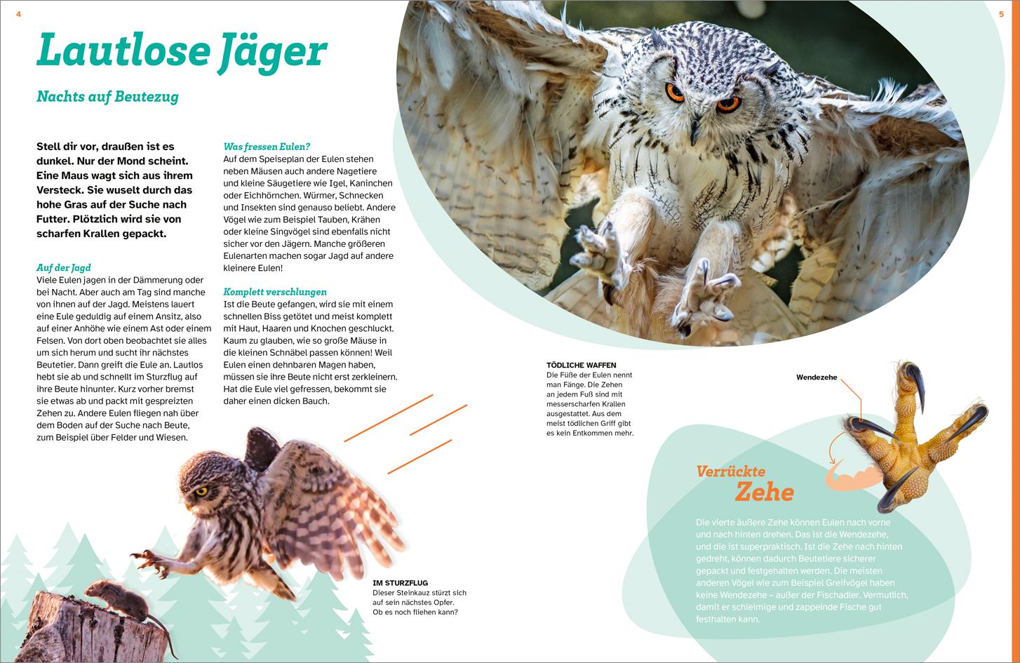 Beispielinhalt (Bild) WAS IST WAS Eulen. Jäger mit Supersinnen