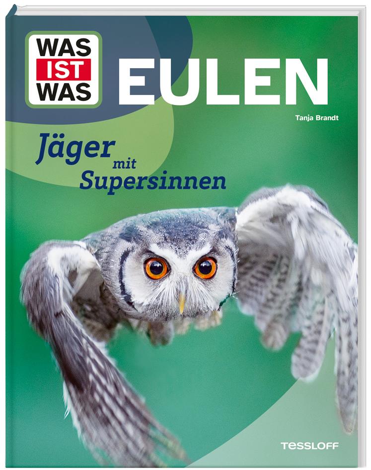 Vorderes Coverbild WAS IST WAS Eulen. Jäger mit Supersinnen