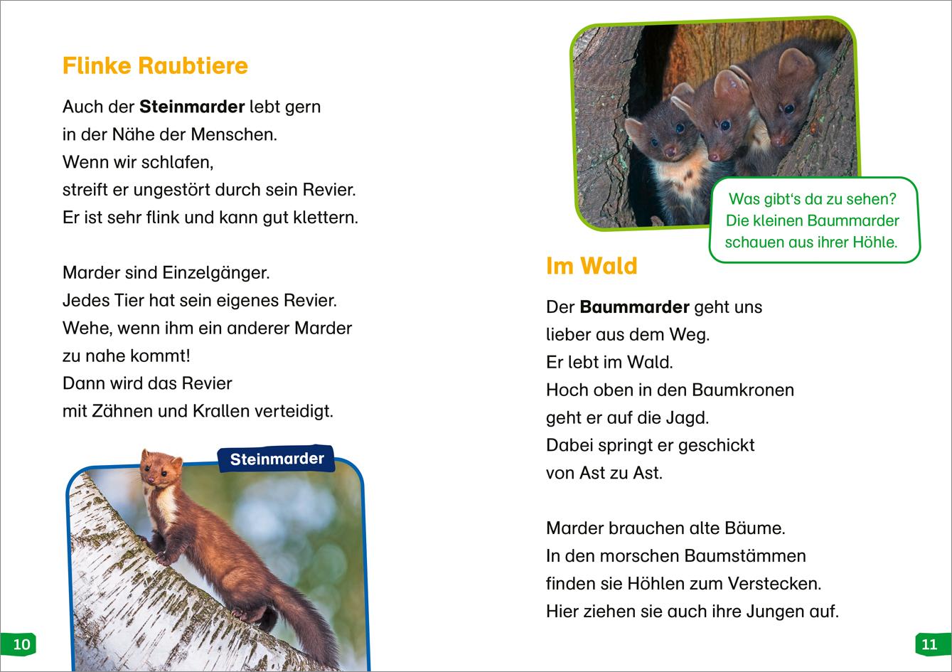 Beispielinhalt (Bild) WAS IST WAS Erstes Lesen easy! Band 17. Tiere in der Nacht