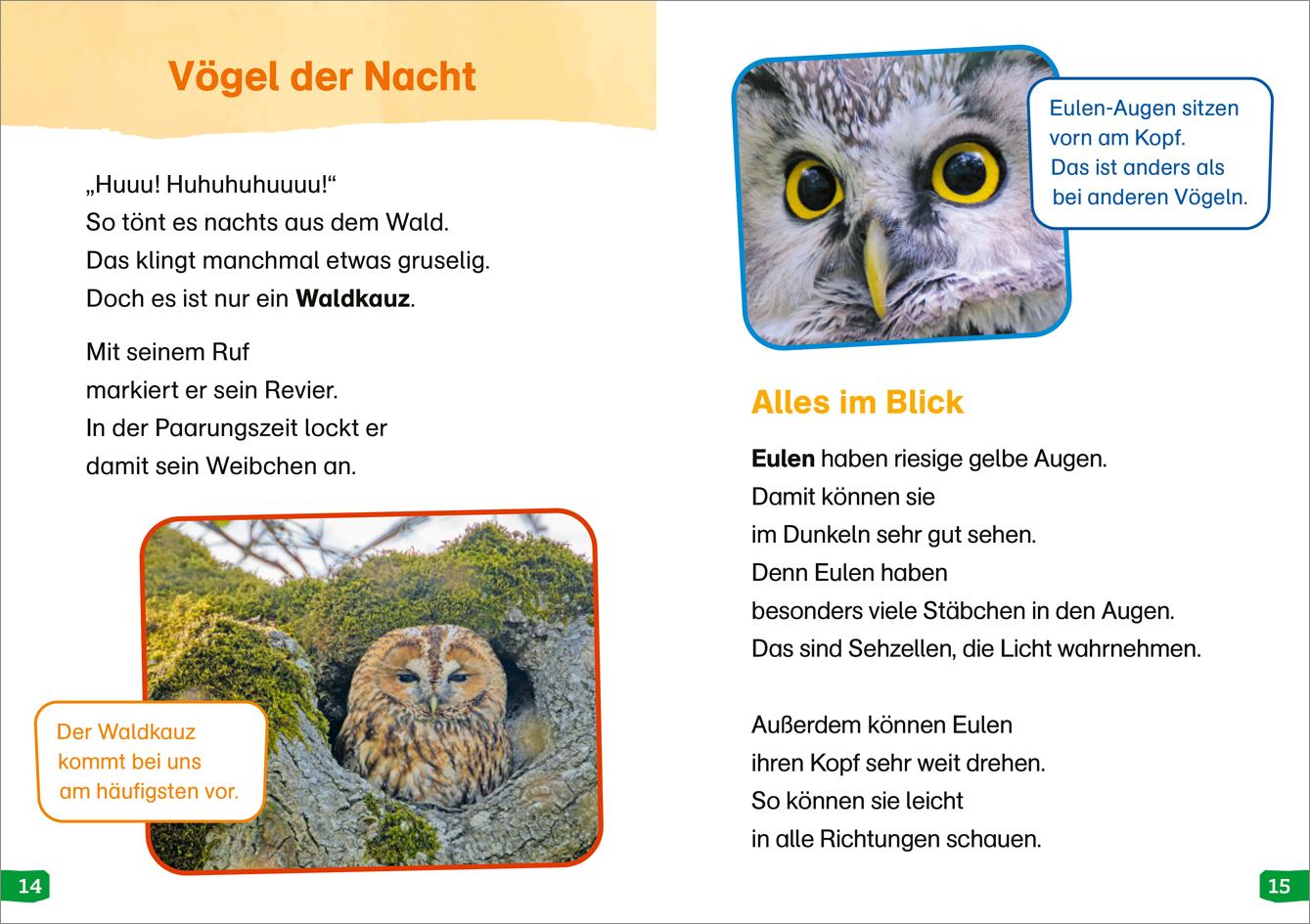 Beispielinhalt (Bild) WAS IST WAS Erstes Lesen easy! Band 17. Tiere in der Nacht