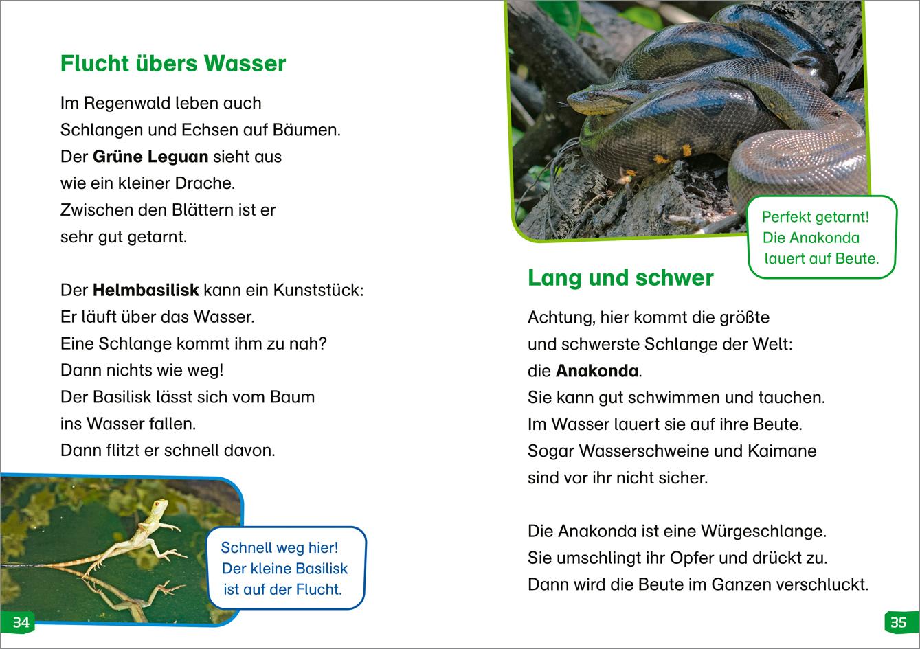 Beispielinhalt (Bild) WAS IST WAS Erstes Lesen easy! Band 18. Tiere im Regenwald