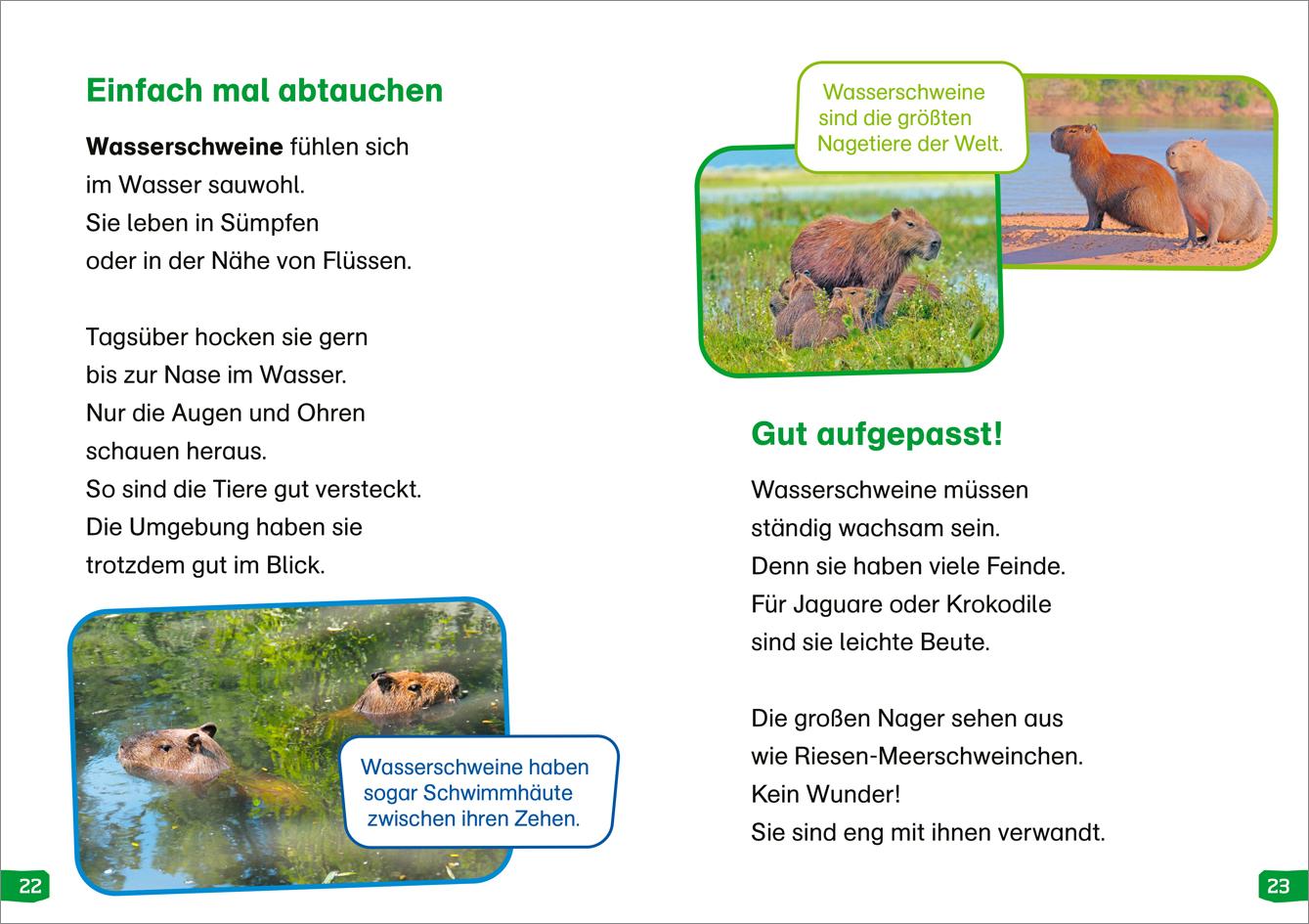 Beispielinhalt (Bild) WAS IST WAS Erstes Lesen easy! Band 18. Tiere im Regenwald