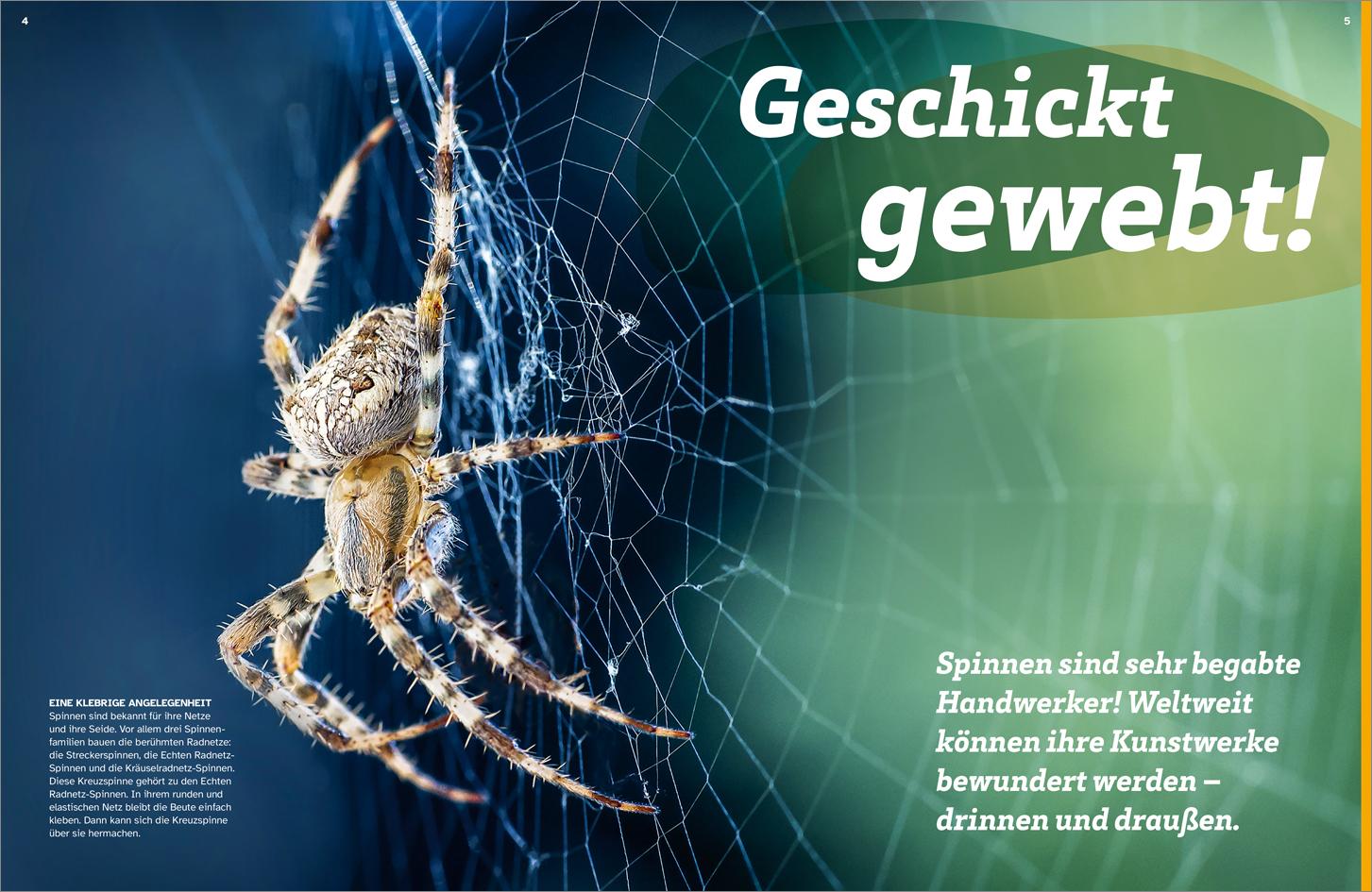 Beispielinhalt (Bild) WAS IST WAS Spinnen. Akrobaten auf acht Beinen