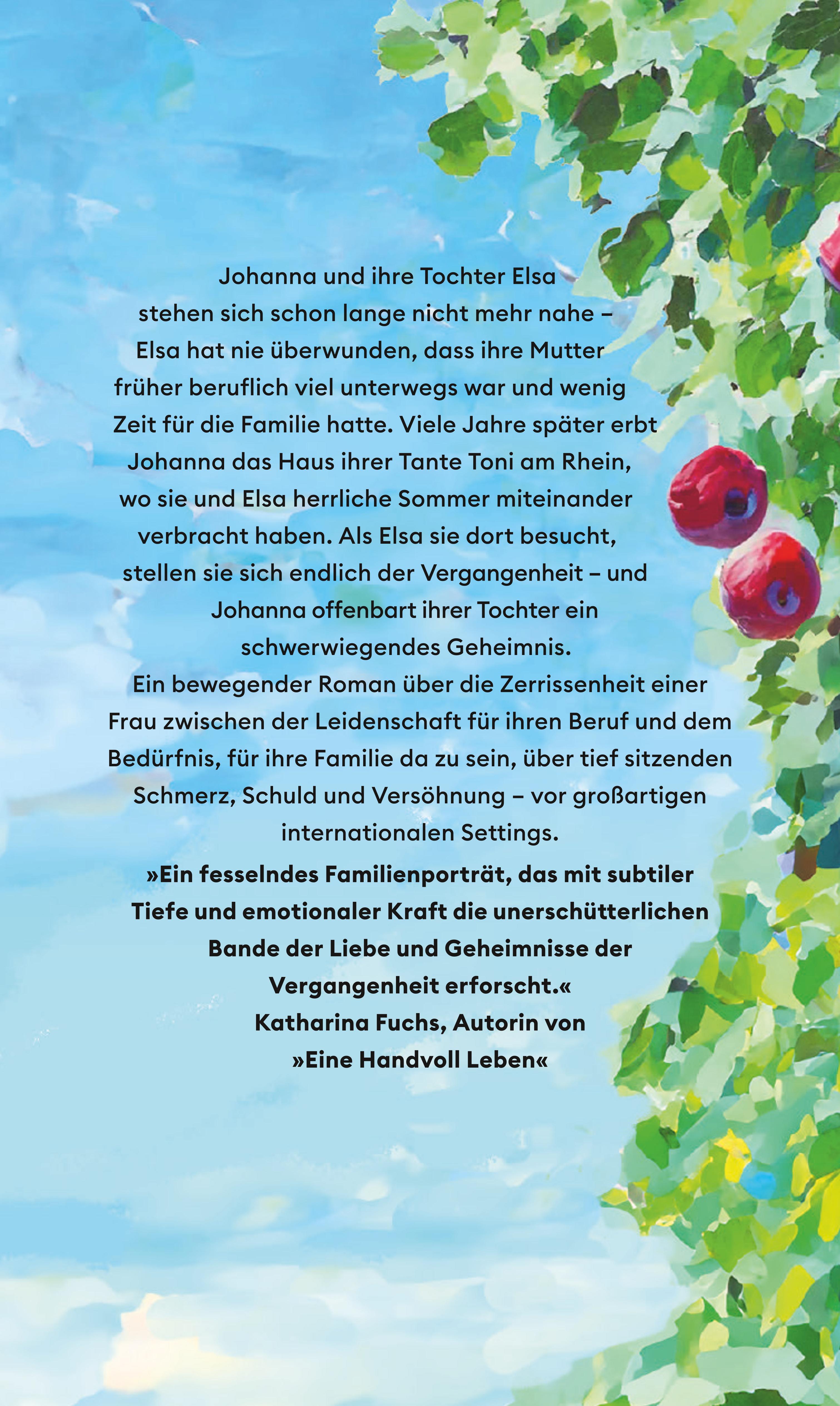 Rückseitencover Der Morgen nach dem Regen