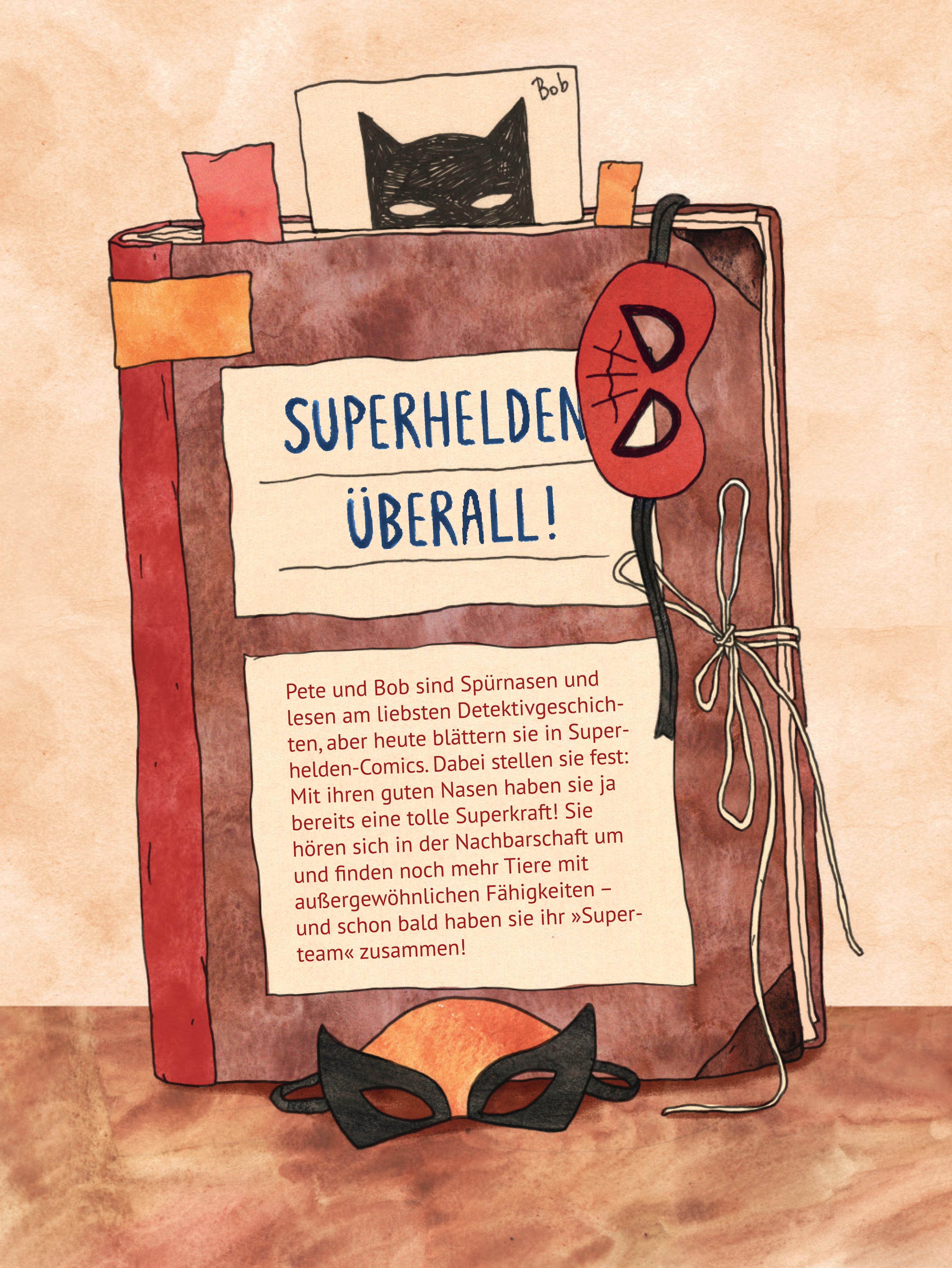 Rückseitencover Das Superteam 1