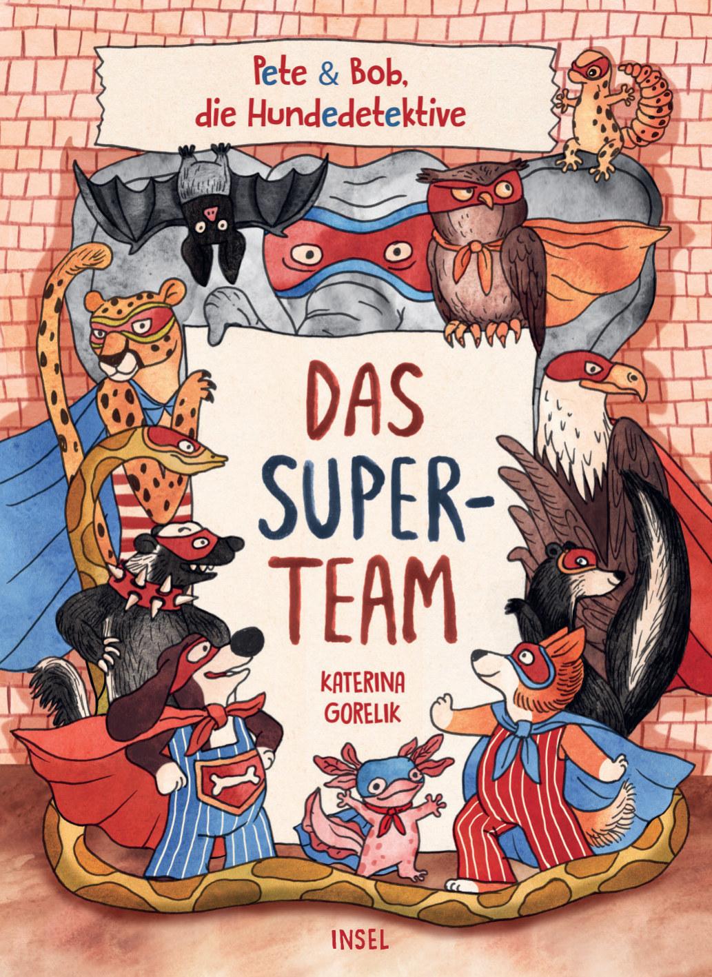 Vorderes Coverbild Das Superteam 1