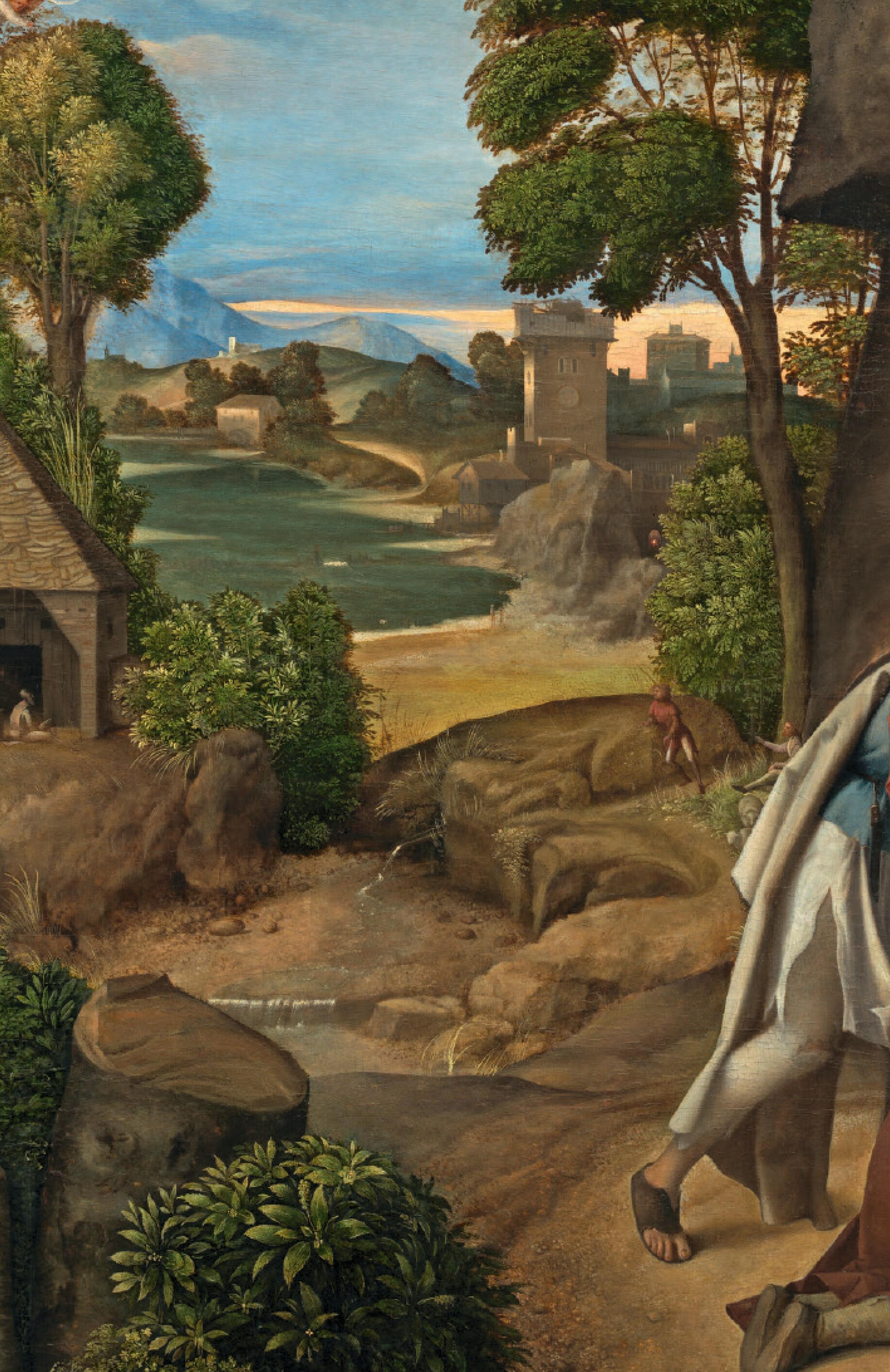 Rückseitencover Zeichen und Wunder